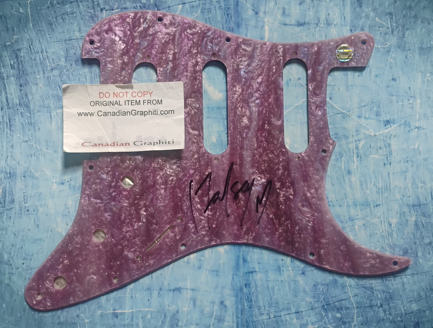 Halsey Hand Signed Autograph Guitar Pick Guard COA