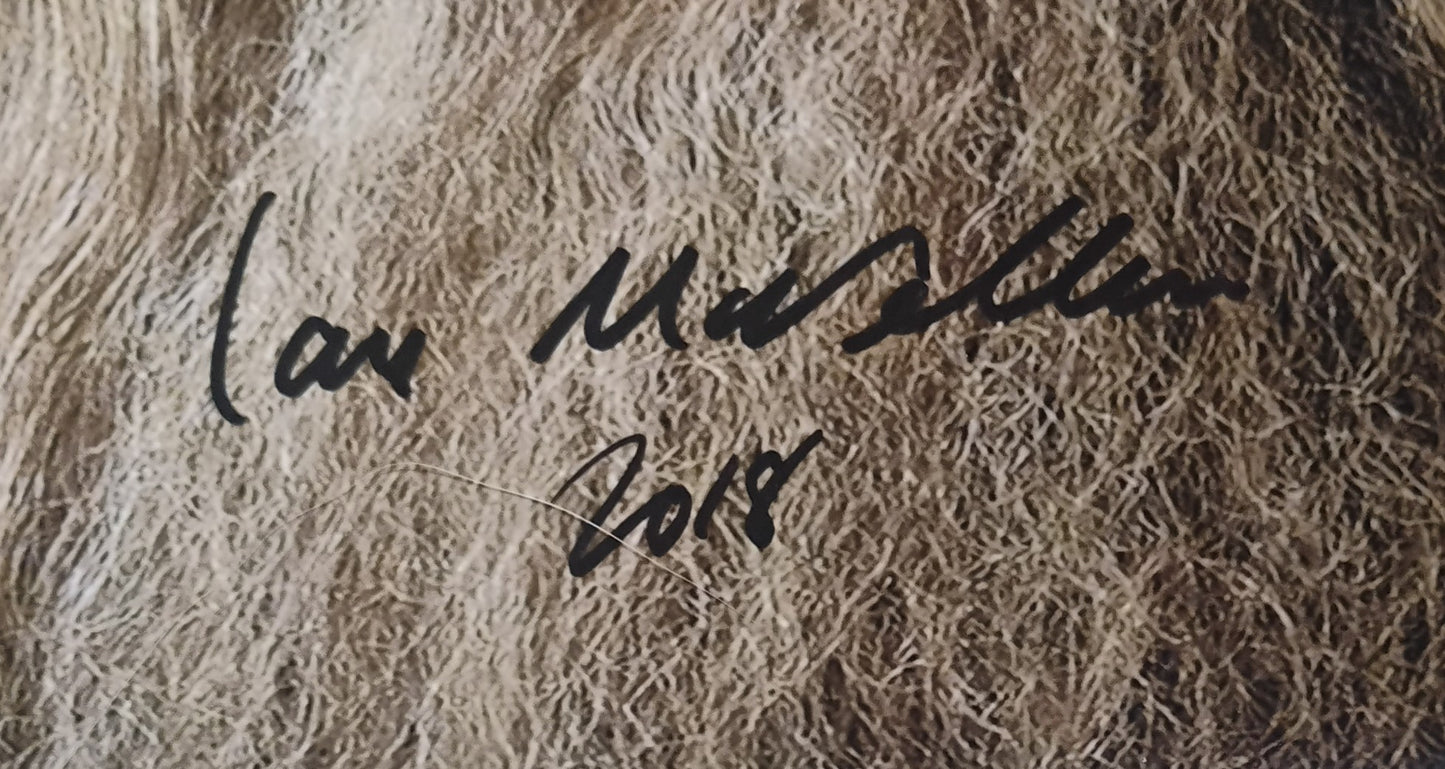 Ian McKellen Hand Signed Autograph 8x10 Photo COA Lord Of The Rings