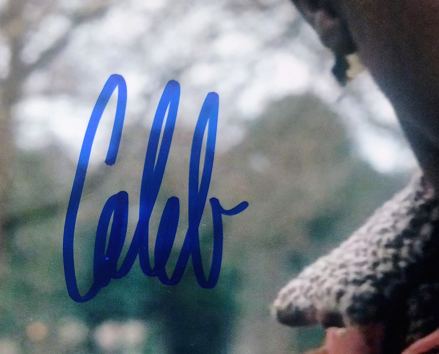 Caleb McLaughlin Hand Signed Autograph 8x10 Photo COA Stranger Things