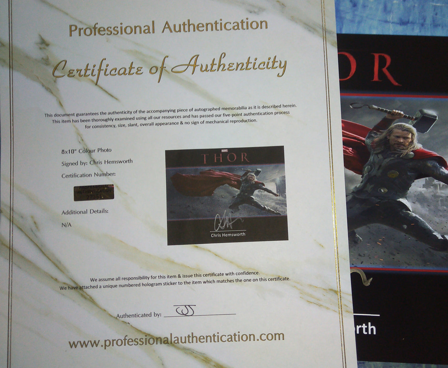 Chris Hemsworth Hand Signed Autograph 8x10 Photo COA Thor