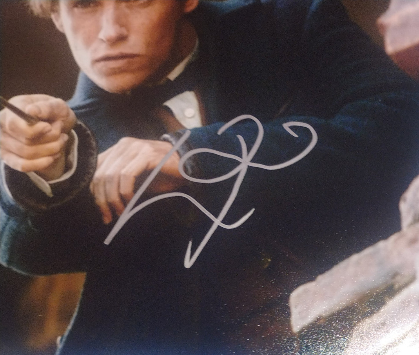 Eddie Redmayne Hand Signed Autograph 8x10 Photo BAS COA Fantastic Beasts