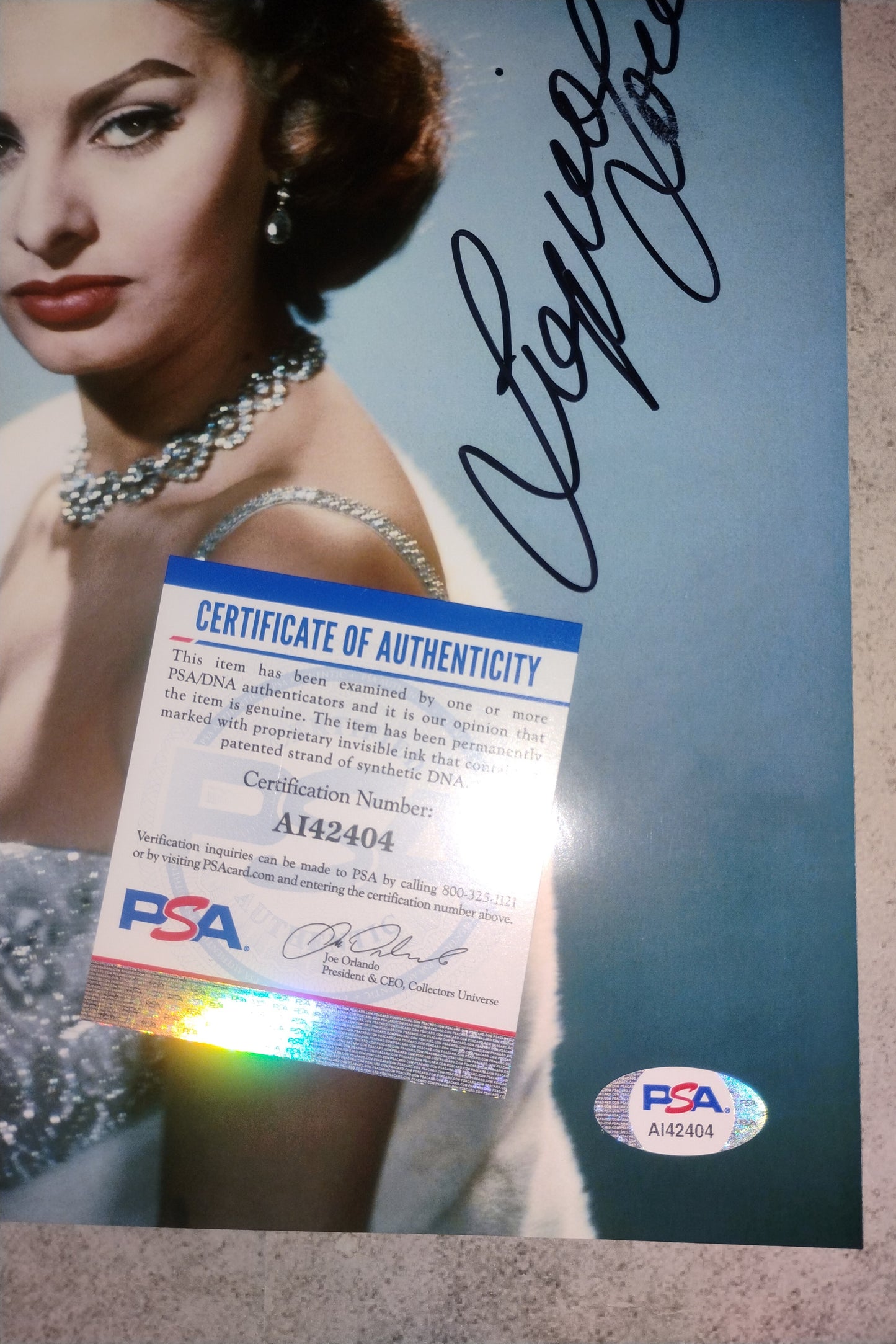Sophia Loren Hand Signed Autograph 8x10 Photo PSA COA