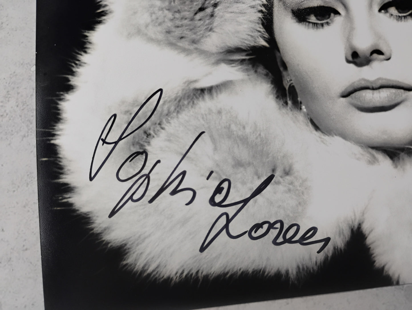 Sophia Loren Hand Signed Autograph 8x10 Photo BAS COA