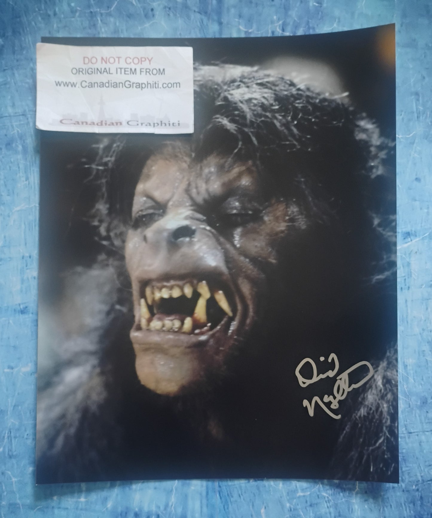 David Naughton Hand Signed Autograph 8x10 Photo JSA COA American Werewolf In London