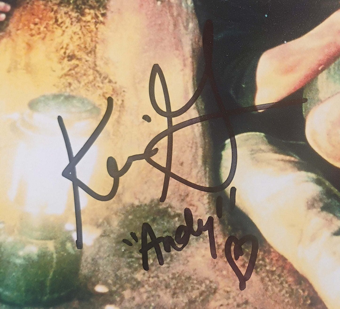Kerri Green Hand Signed Autograph 8x10 Photo JSA COA The Goonies
