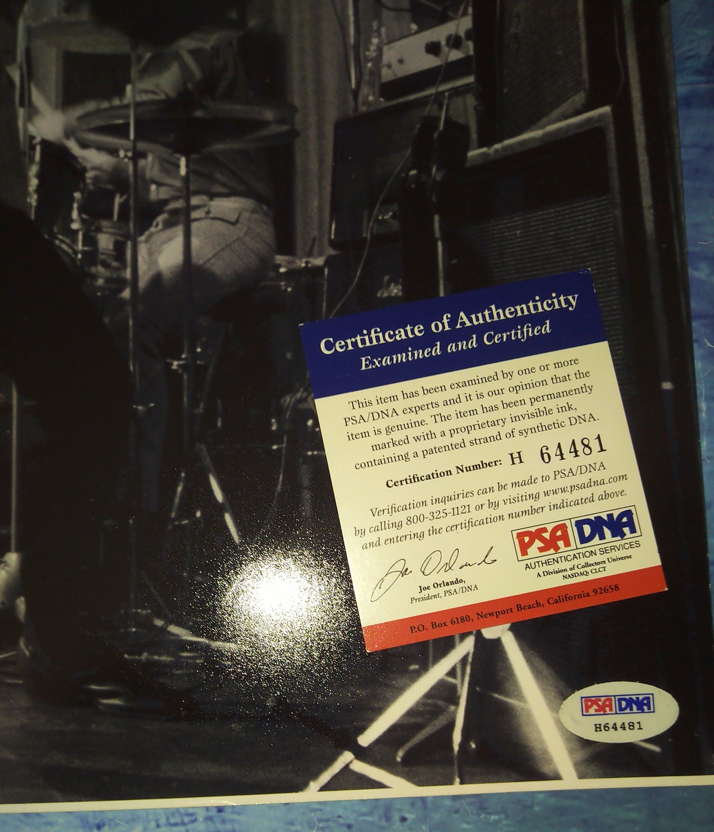 Pete Townshend Hand Signed Autograph 11x14 Photo PSA COA The Who