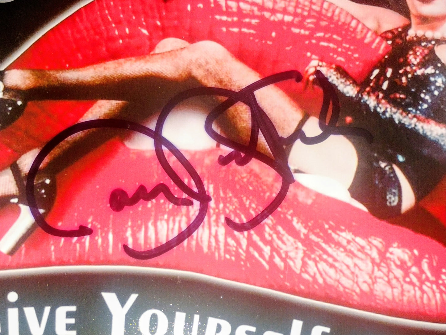 Rocky Horror Picture Show 5 Cast Hand Signed Autograph 11x17 Photo BAS JSA COA