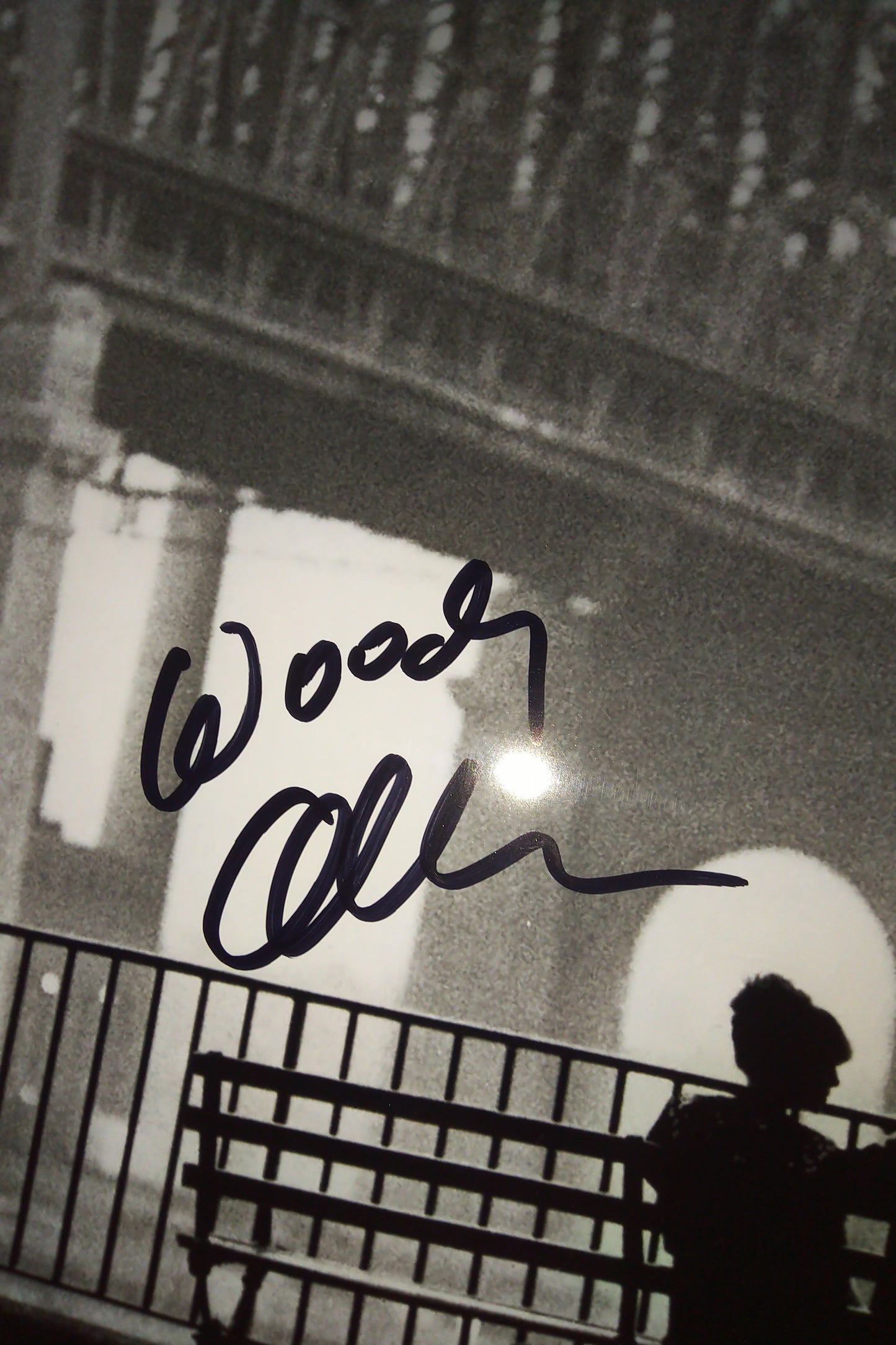 Woody Allen Hand Signed Autograph 11x14 Photo COA