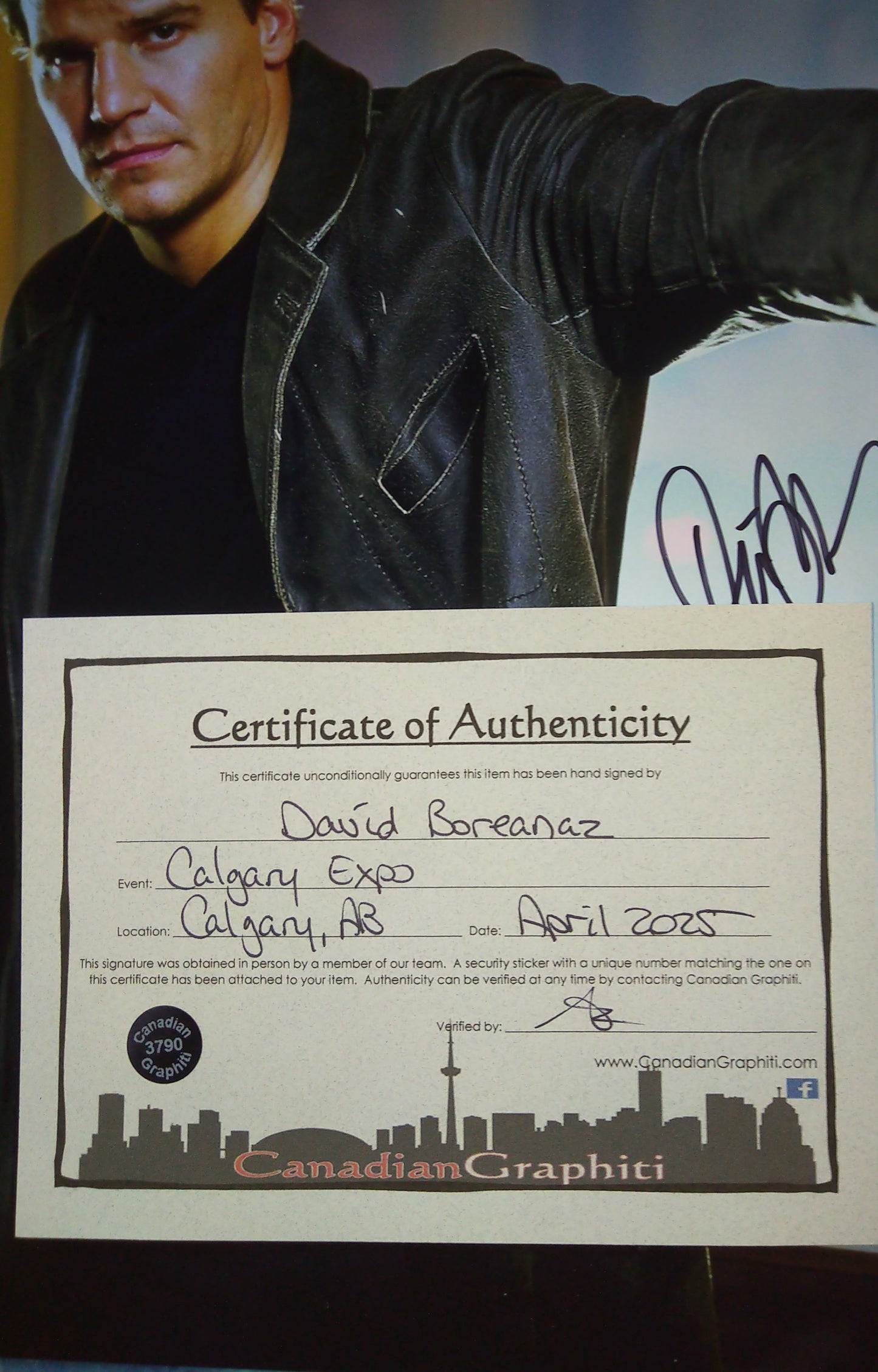 David Boreanaz Hand Signed Autograph 11x14 Photo COA