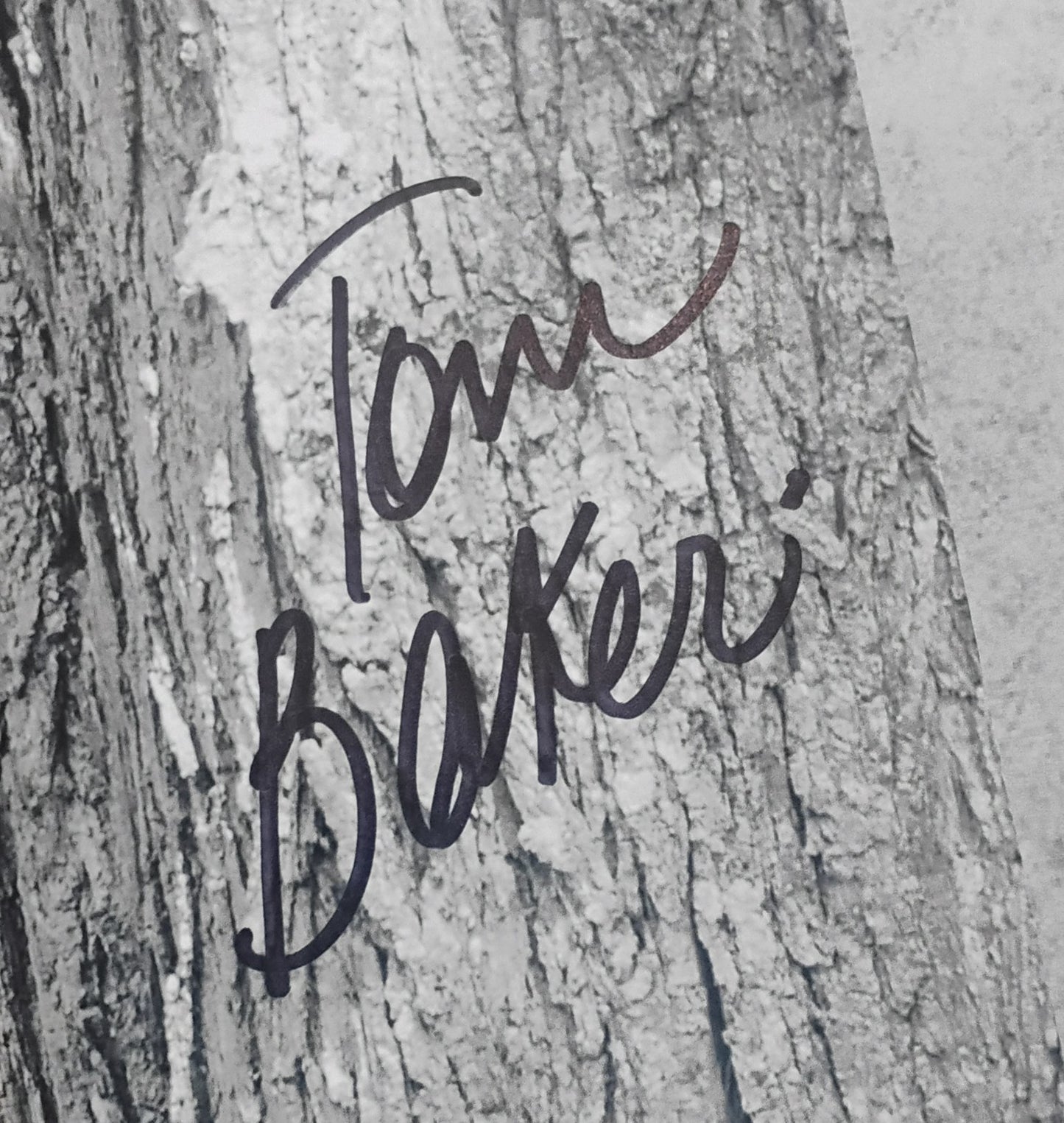 Tom Baker Hand Signed Autograph 8x10 Photo JSA COA Doctor Who