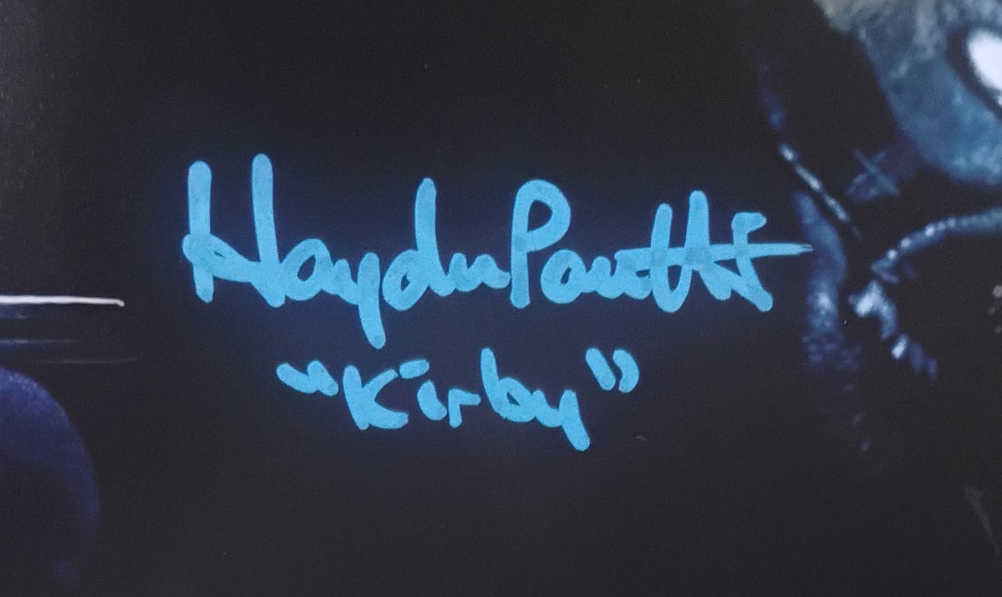 Hayden Panettiere Hand Signed Autograph 11x14 Photo COA Scream