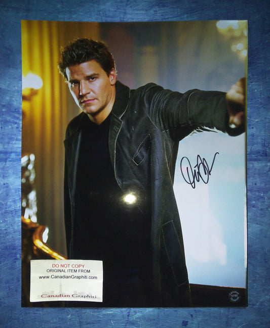 David Boreanaz Hand Signed Autograph 11x14 Photo COA