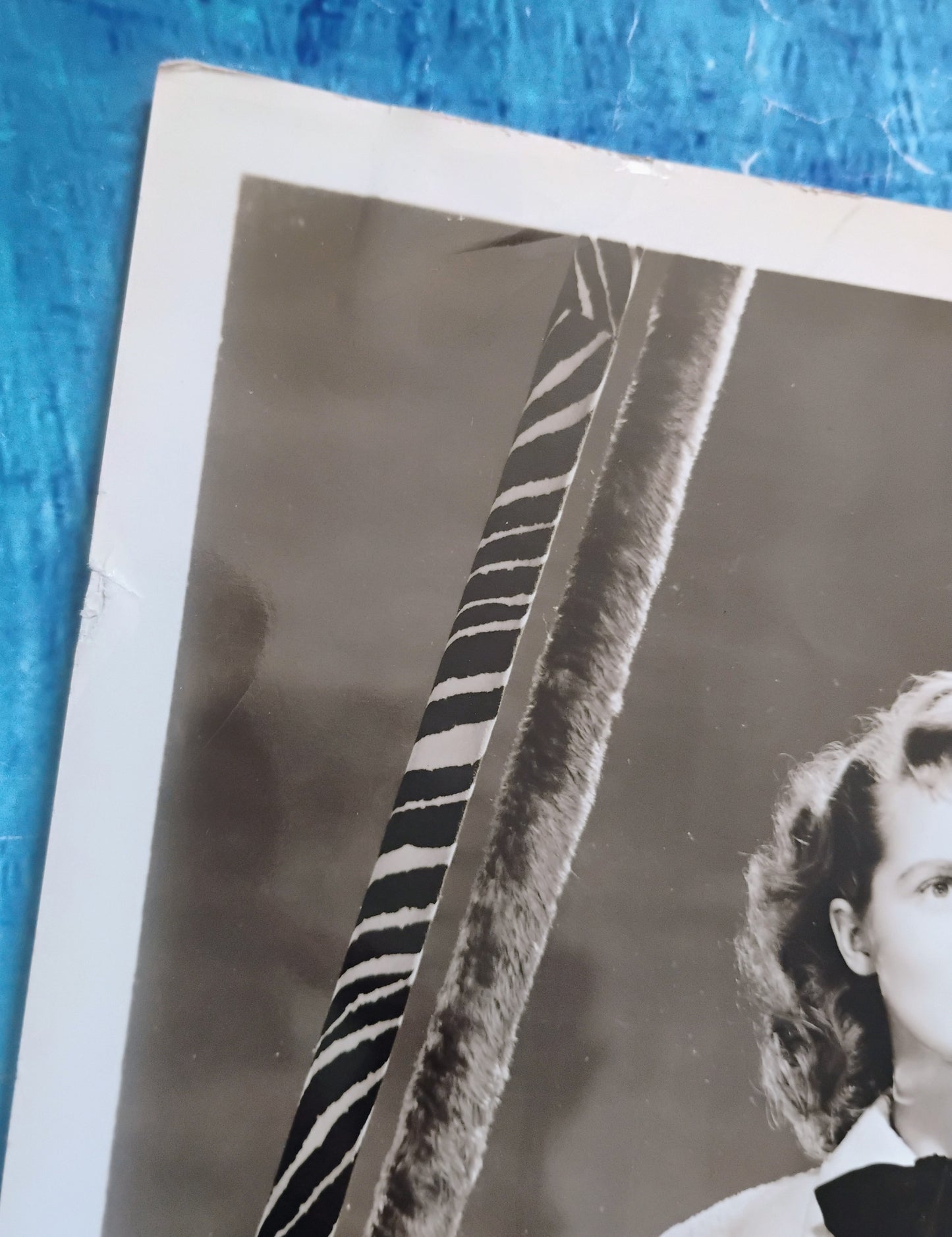 Janet Leigh Hand Signed Autograph 8x10 Photo JSA COA