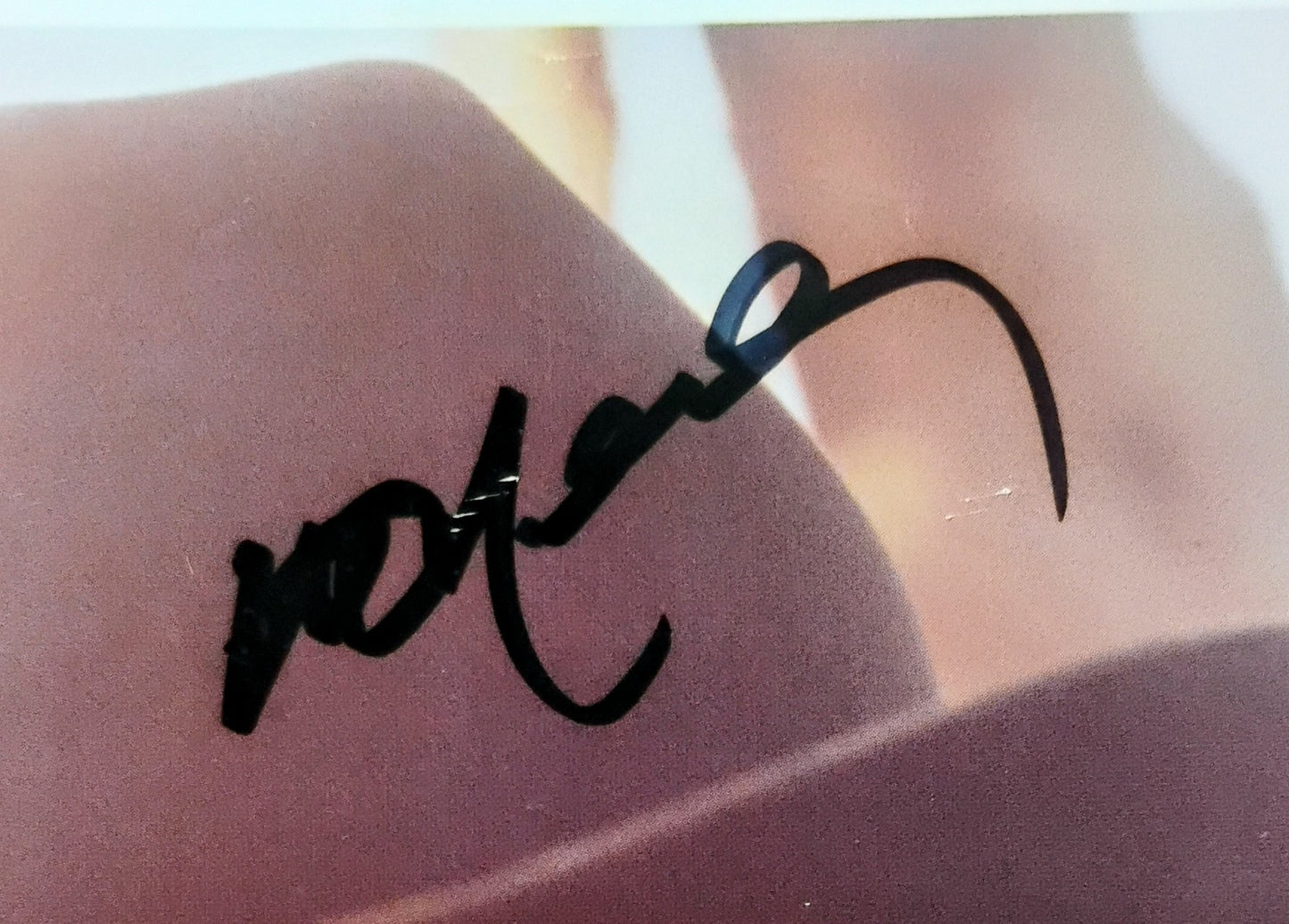 Willie Nelson Hand Signed Autograph 8x10 Photo JSA COA