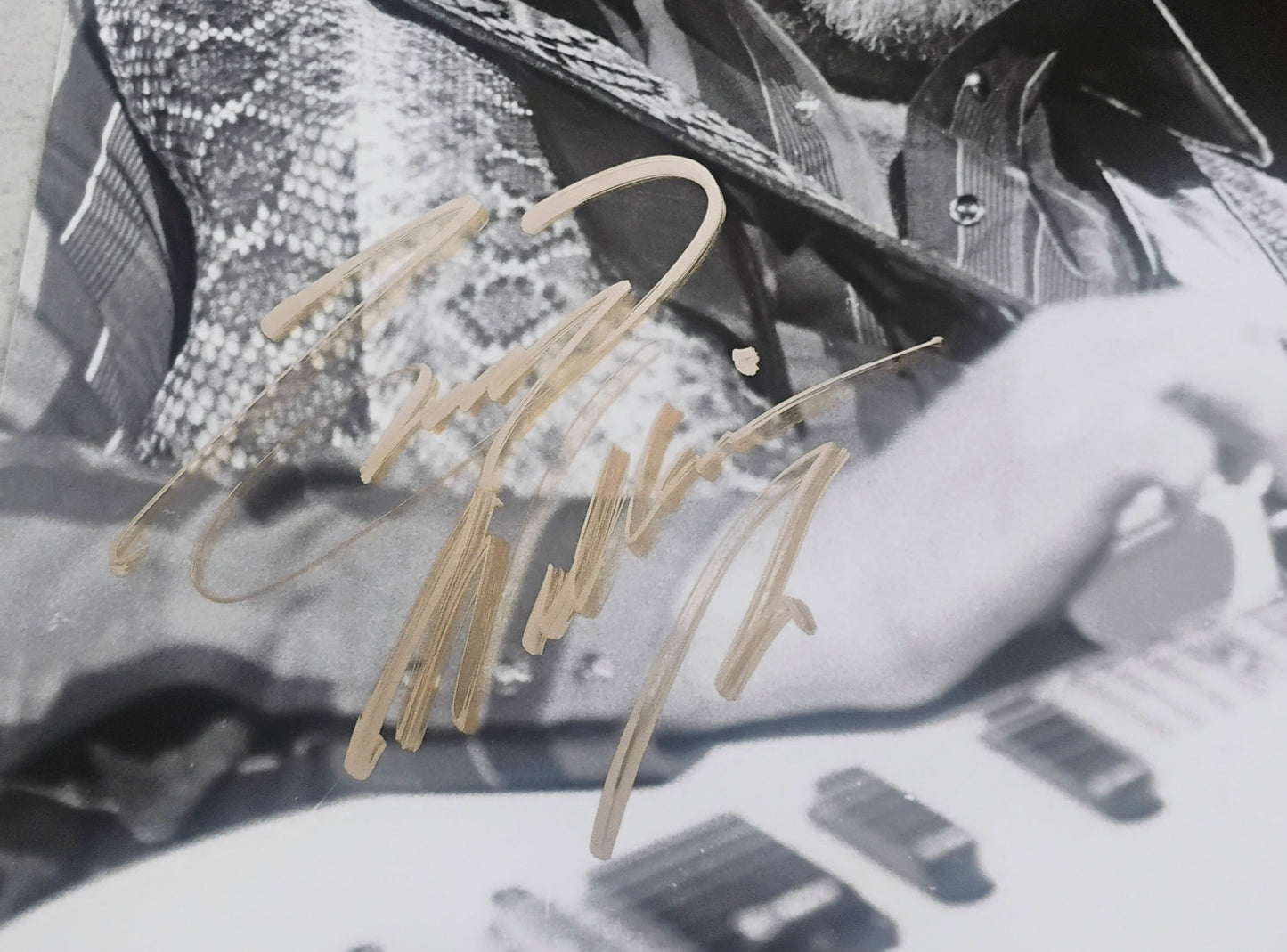 Hank Williams Jr Hand Signed Autograph 8x10 Photo COA PA