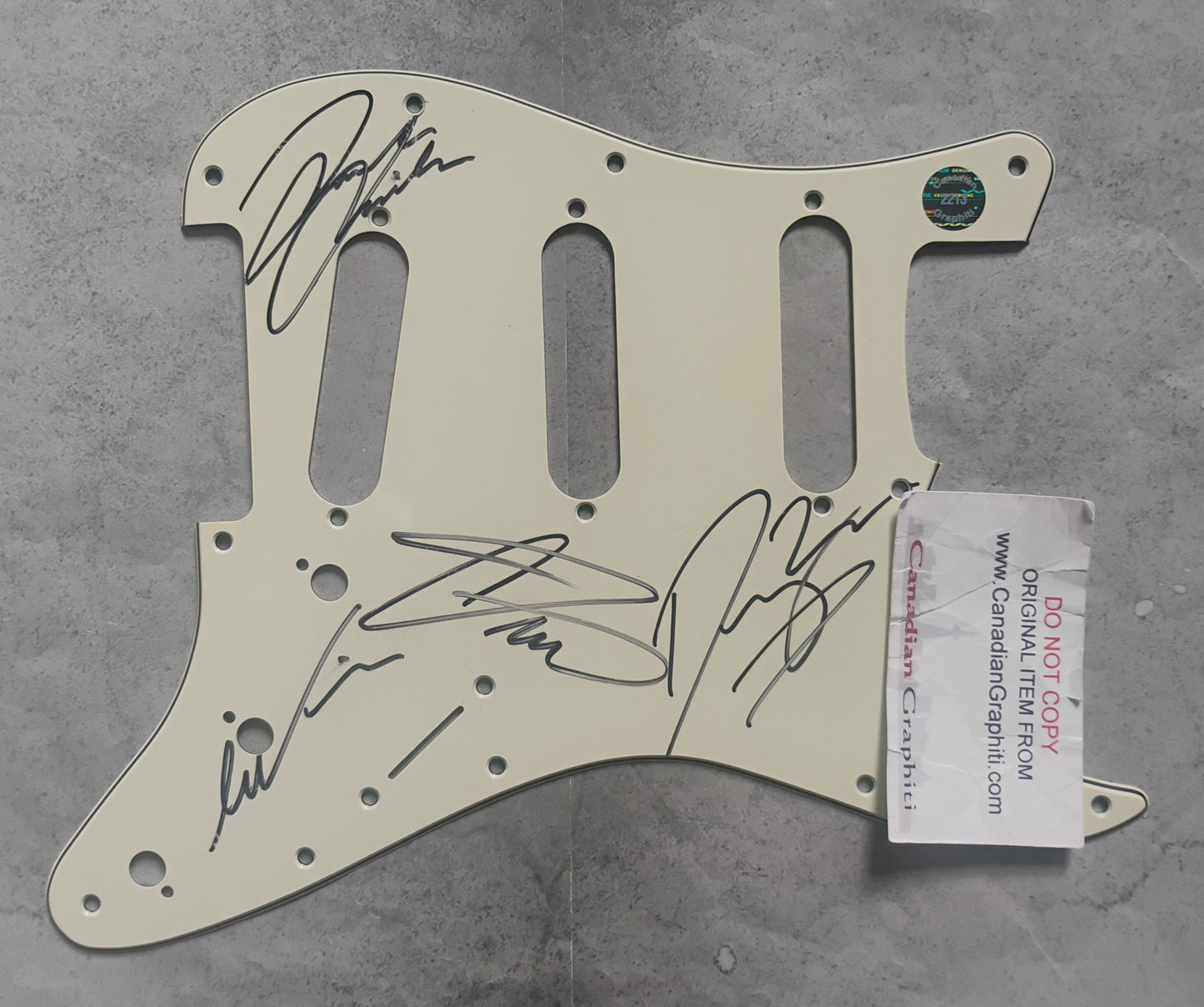 Greta Van Fleet Hand Signed Autograph Guitar Pick Guard JSA COA