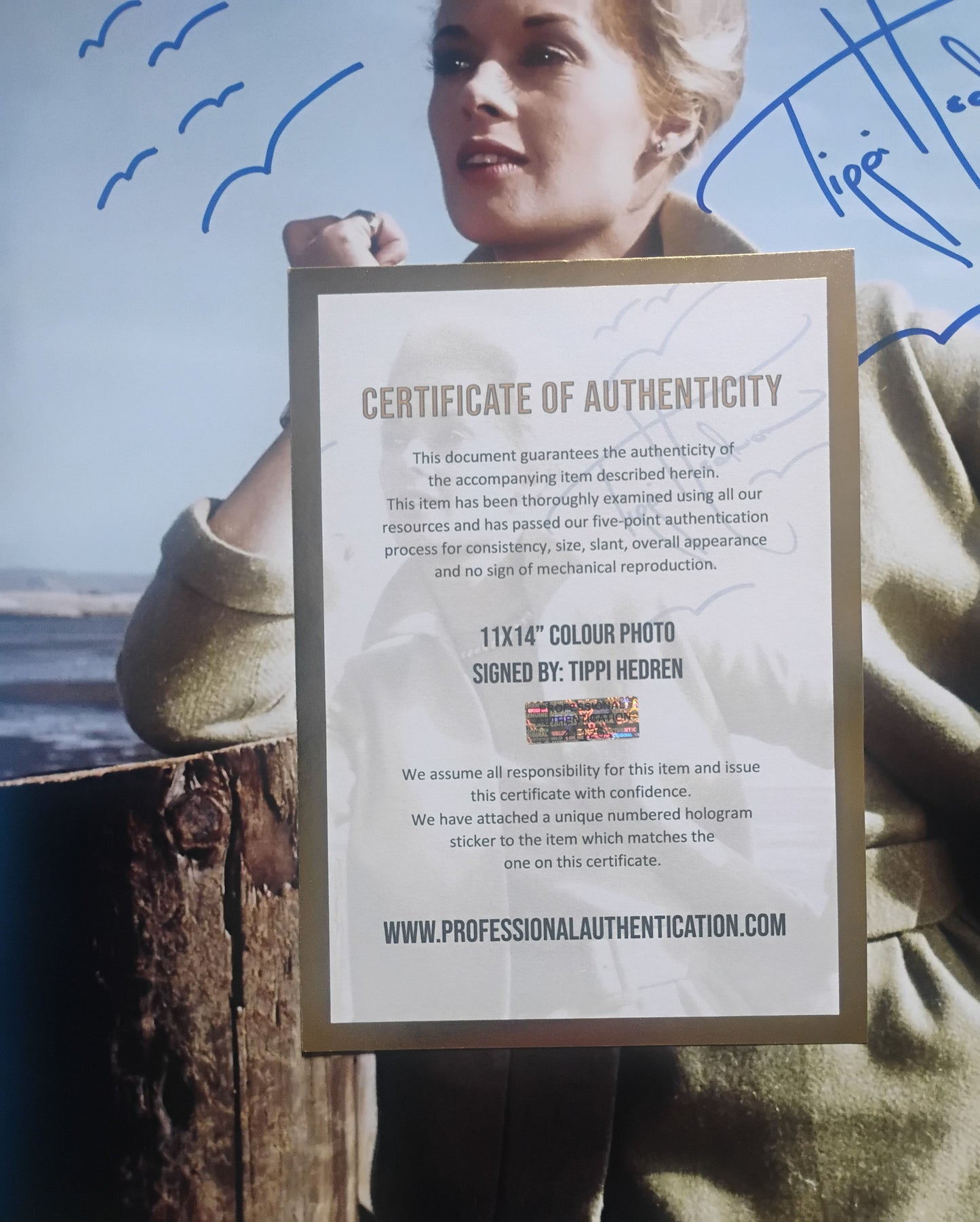 Tippi Hedren Hand Signed Autograph 11x14 Photo COA The Birds