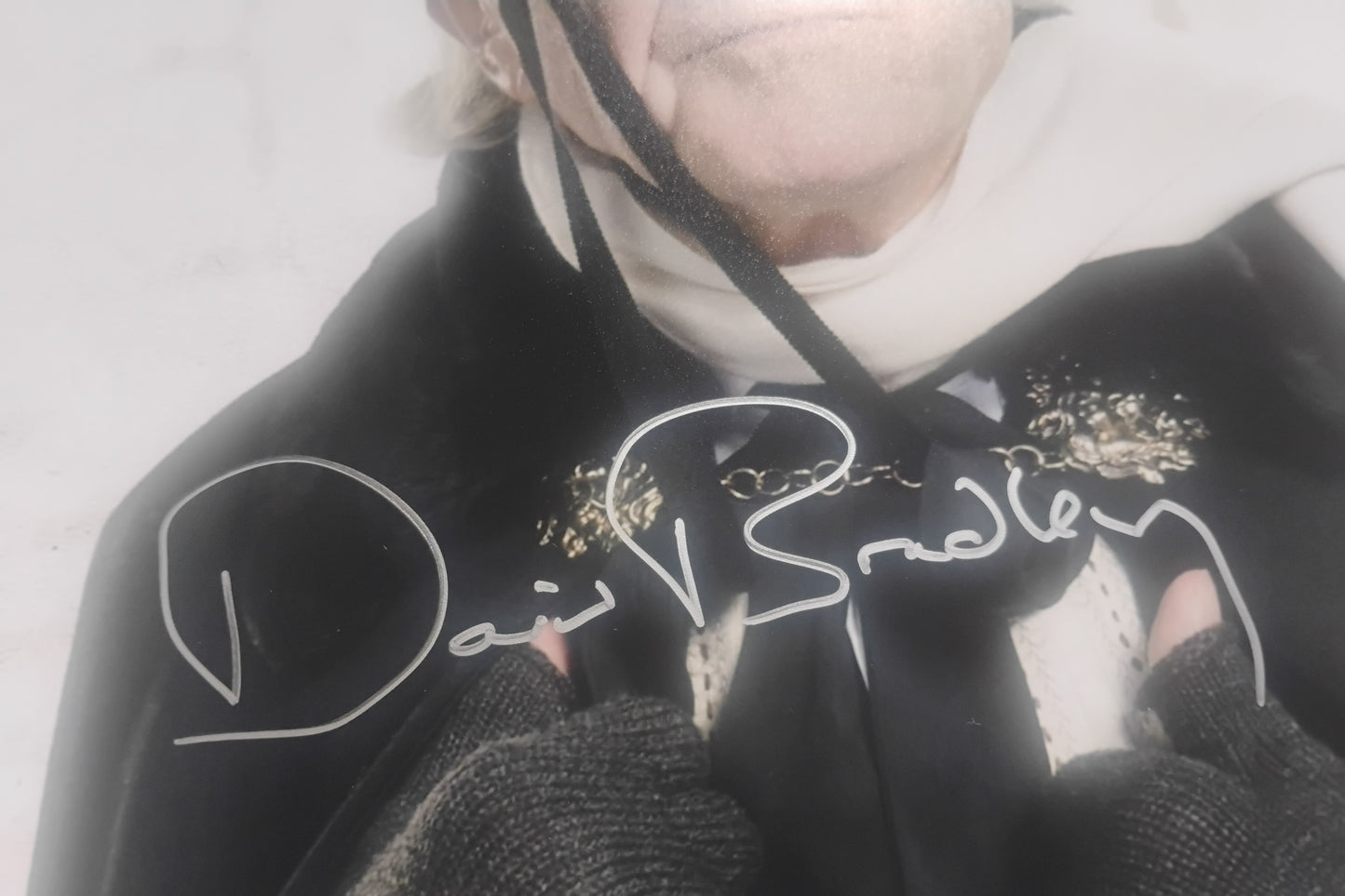 David Bradley Hand Signed Autograph 11x14 Photo JSA COA