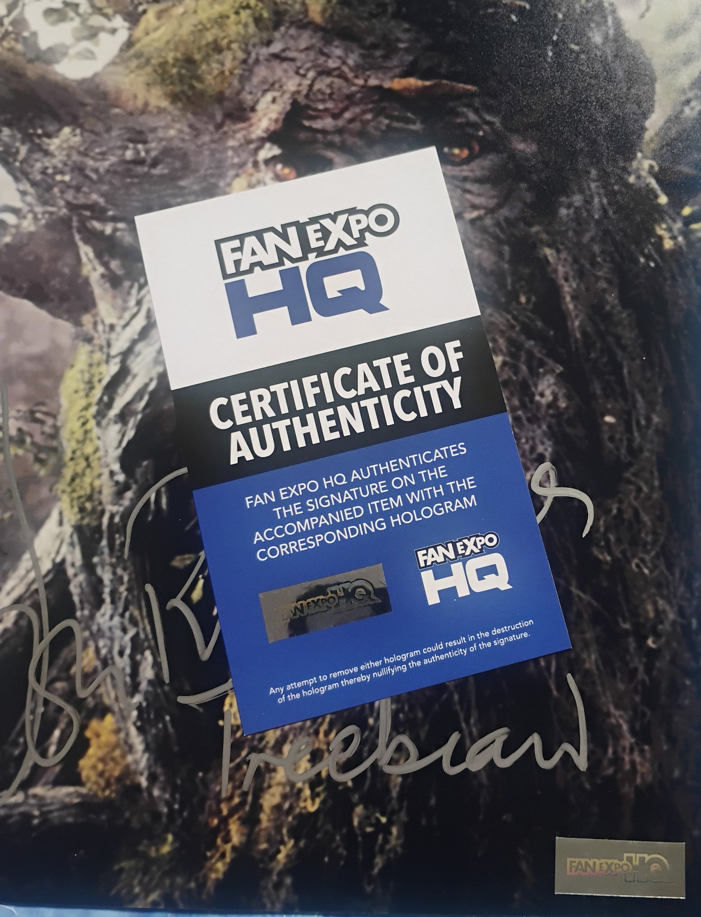 John Rhys-Davies Hand Signed Autograph 8x10 Photo COA Lord Of The Rings