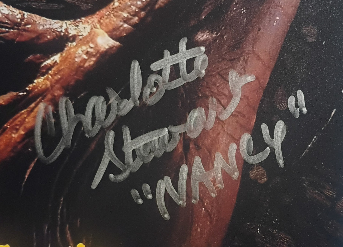 Charlotte Stewart Hand Signed Autograph 8x10 Photo JSA COA Tremors