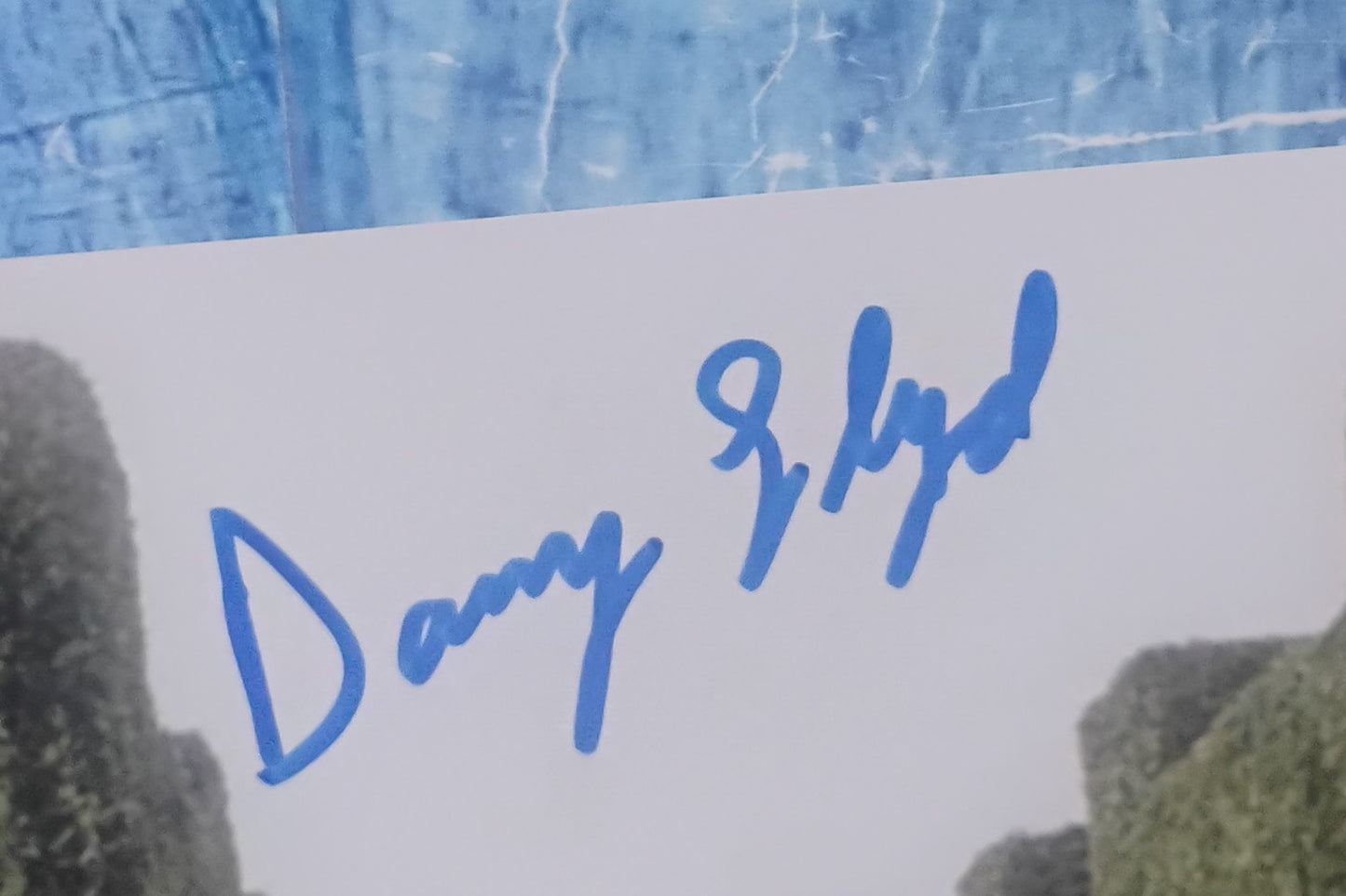 Danny Lloyd Hand Signed Autograph 8x10 Photo BAS COA The Shining