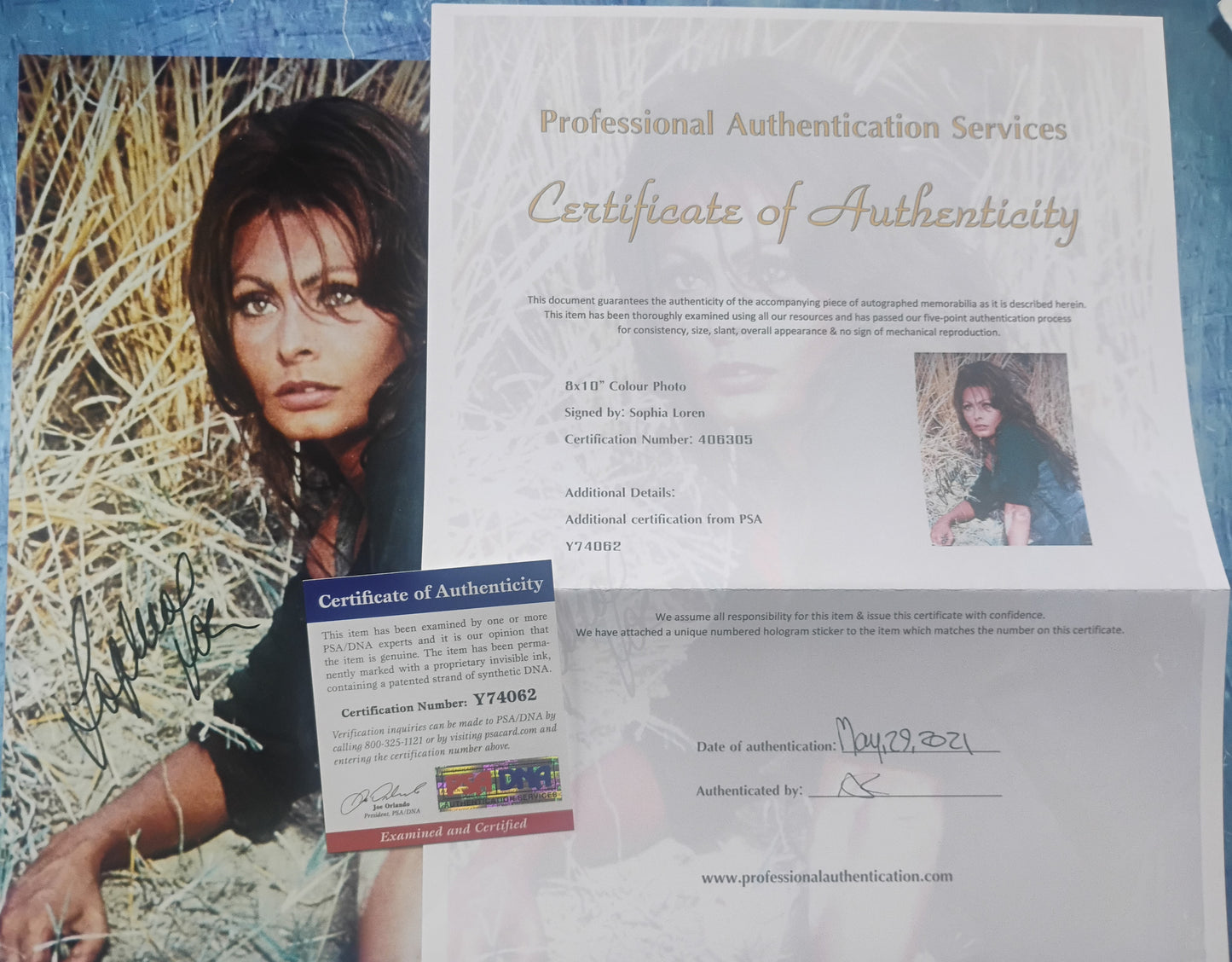 Sophia Loren Hand Signed Autograph 8x10 Photo PSA COA