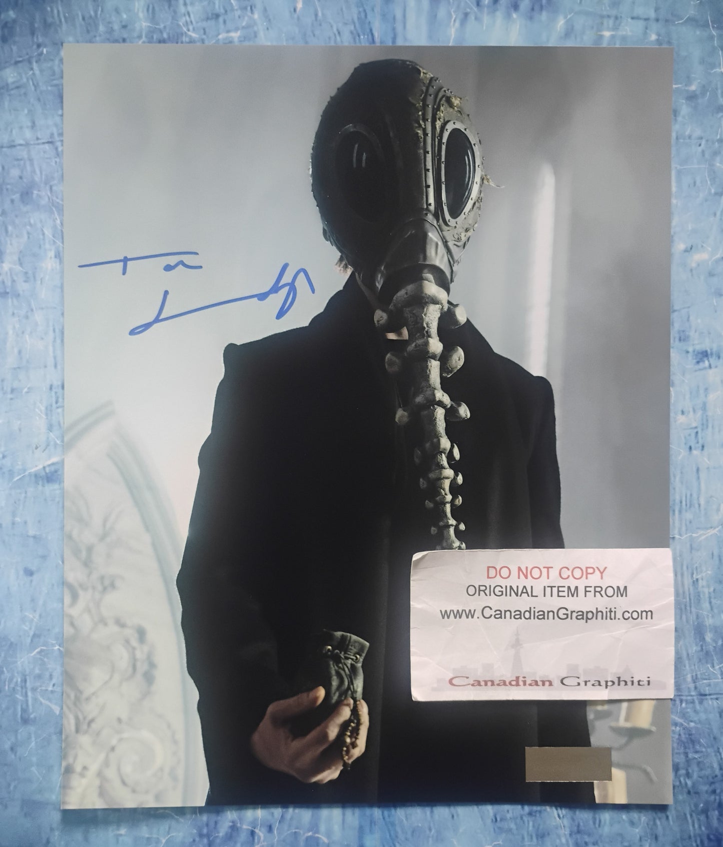 Tom Sturridge Hand Signed Autograph 8x10 Photo COA The Sandman