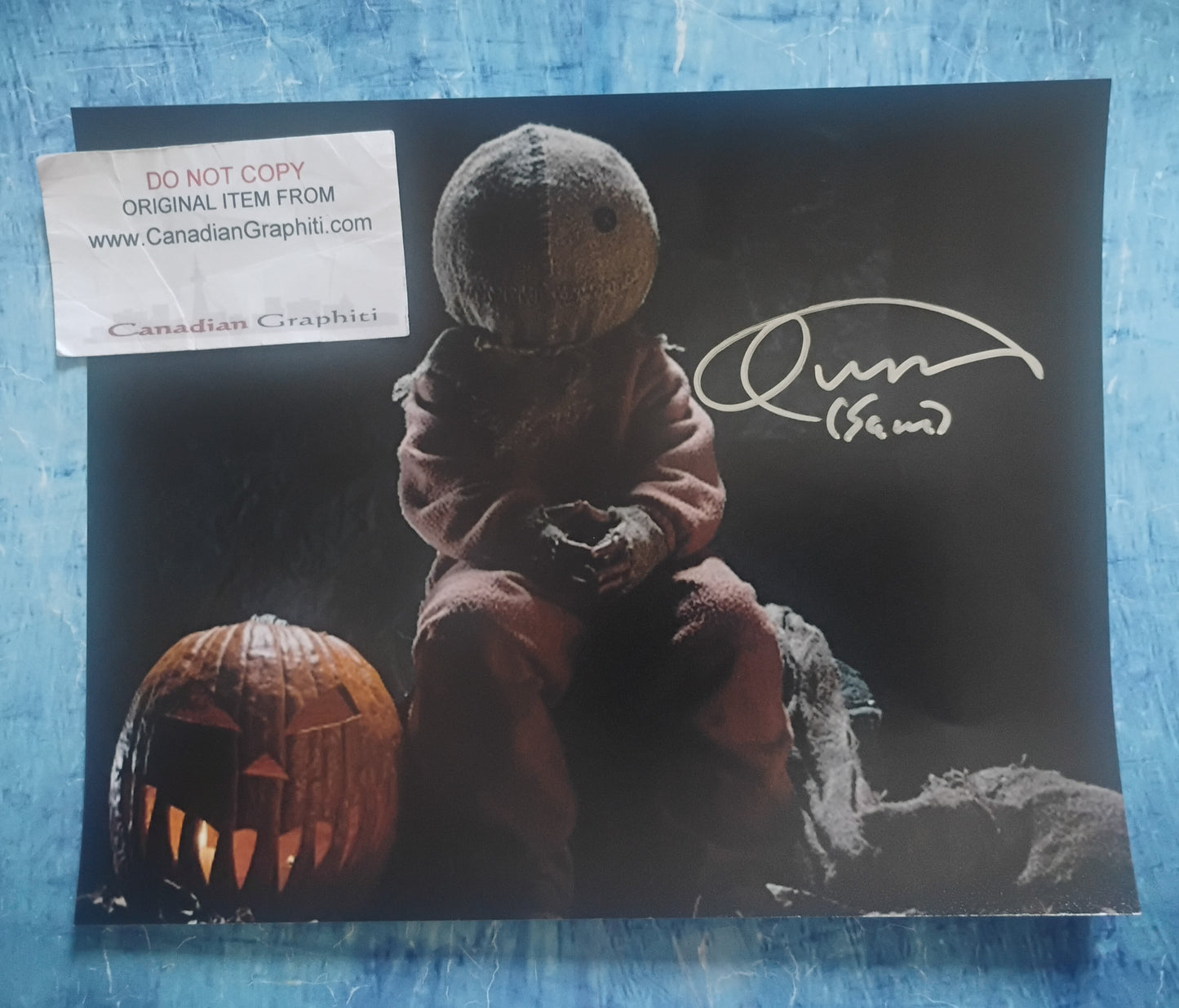 Quinn Lord Hand Signed Autograph 8x10 Photo JSA COA Trick r Treat