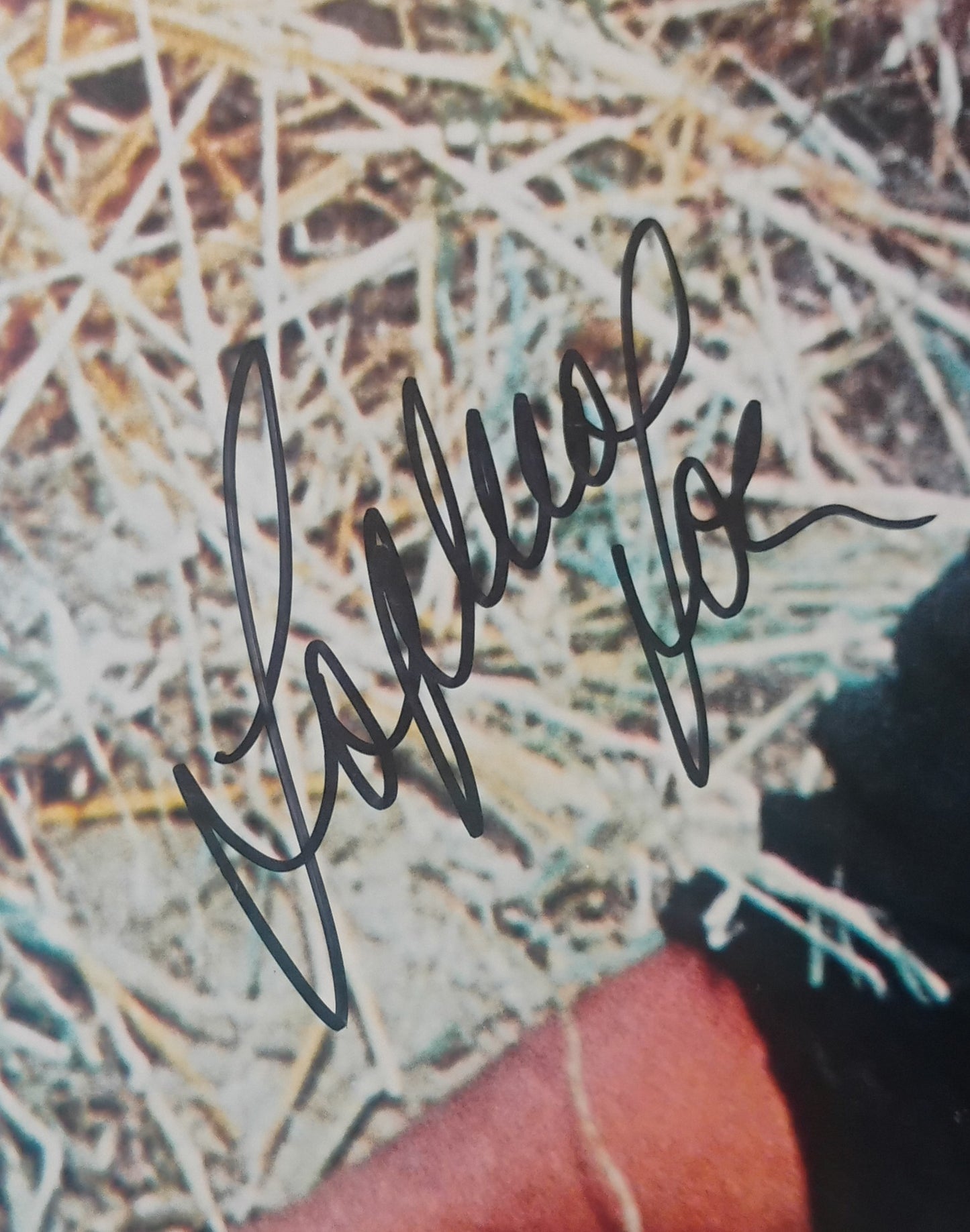 Sophia Loren Hand Signed Autograph 8x10 Photo PSA COA