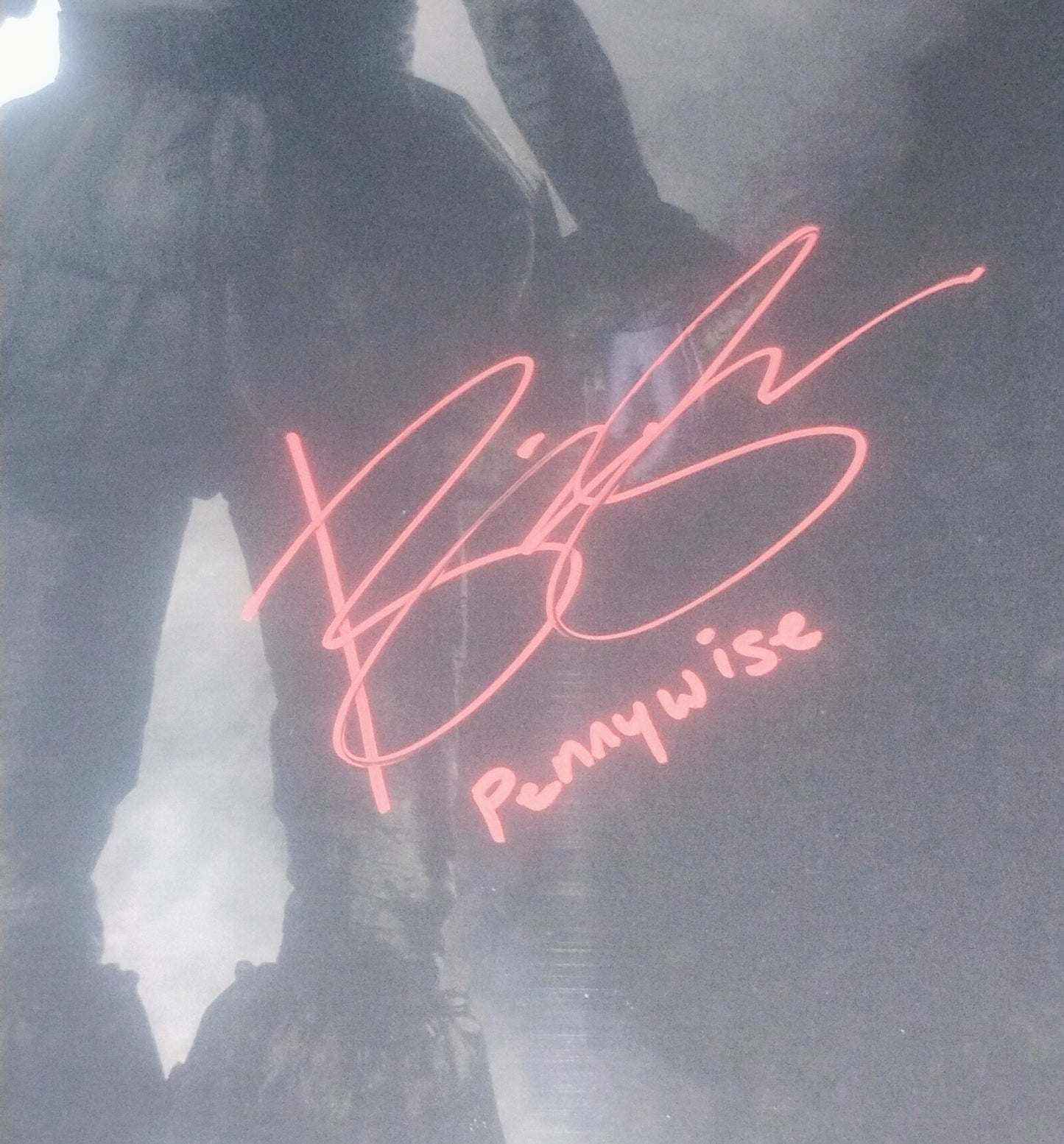 Bill Skarsgard Hand Signed Autograph 11x14 Photo COA Pennywise