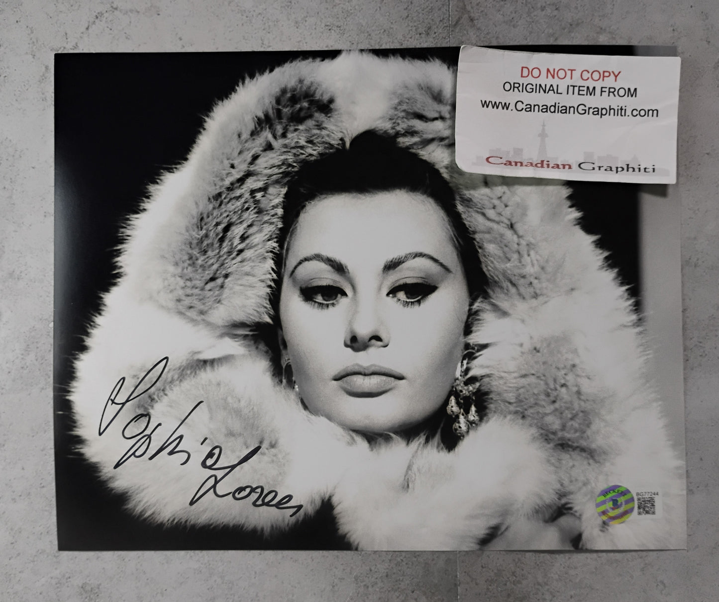 Sophia Loren Hand Signed Autograph 8x10 Photo BAS COA