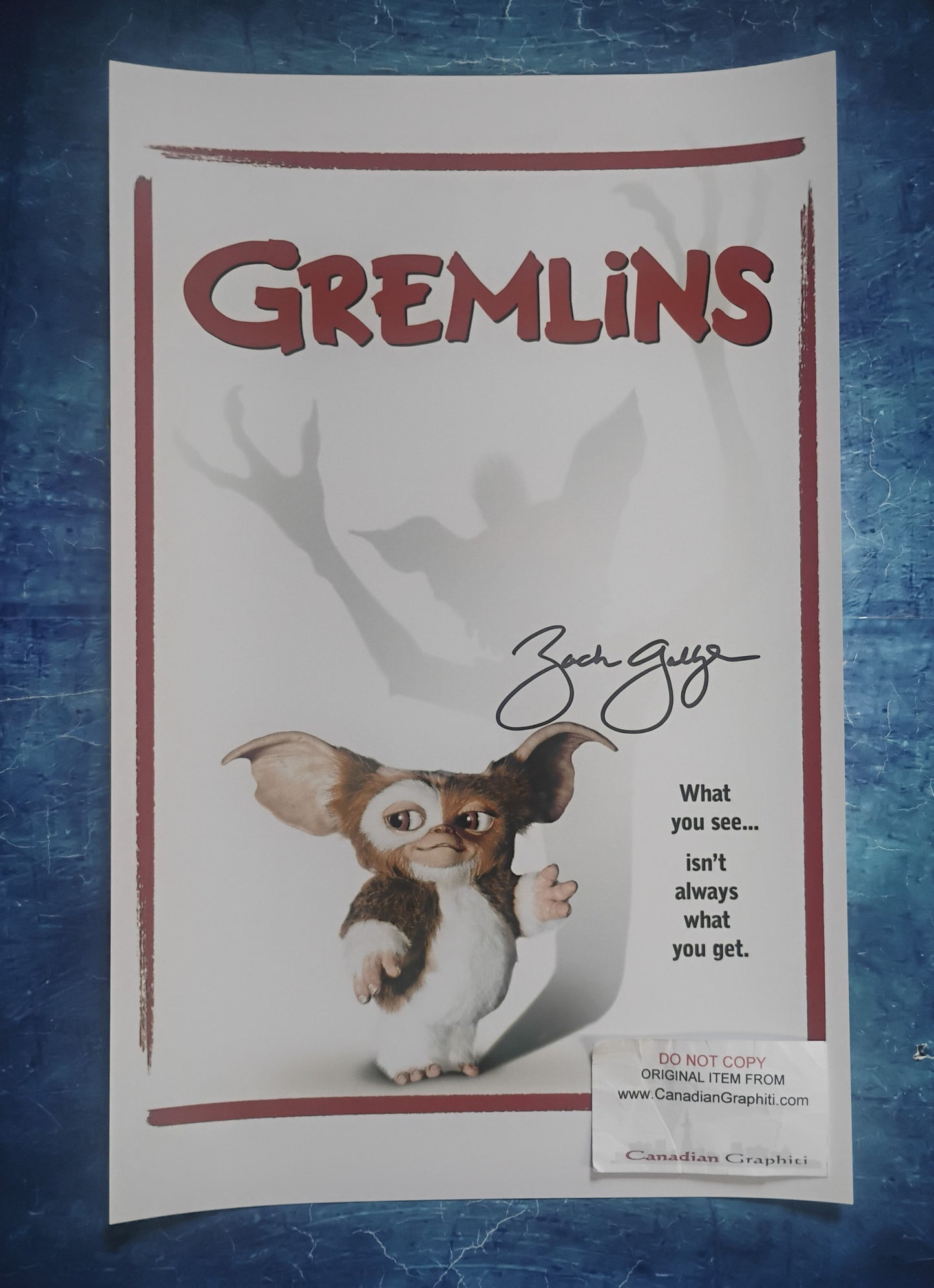 Zach Galligan Hand Signed Autograph 11x17 Photo JSA COA Gremlins