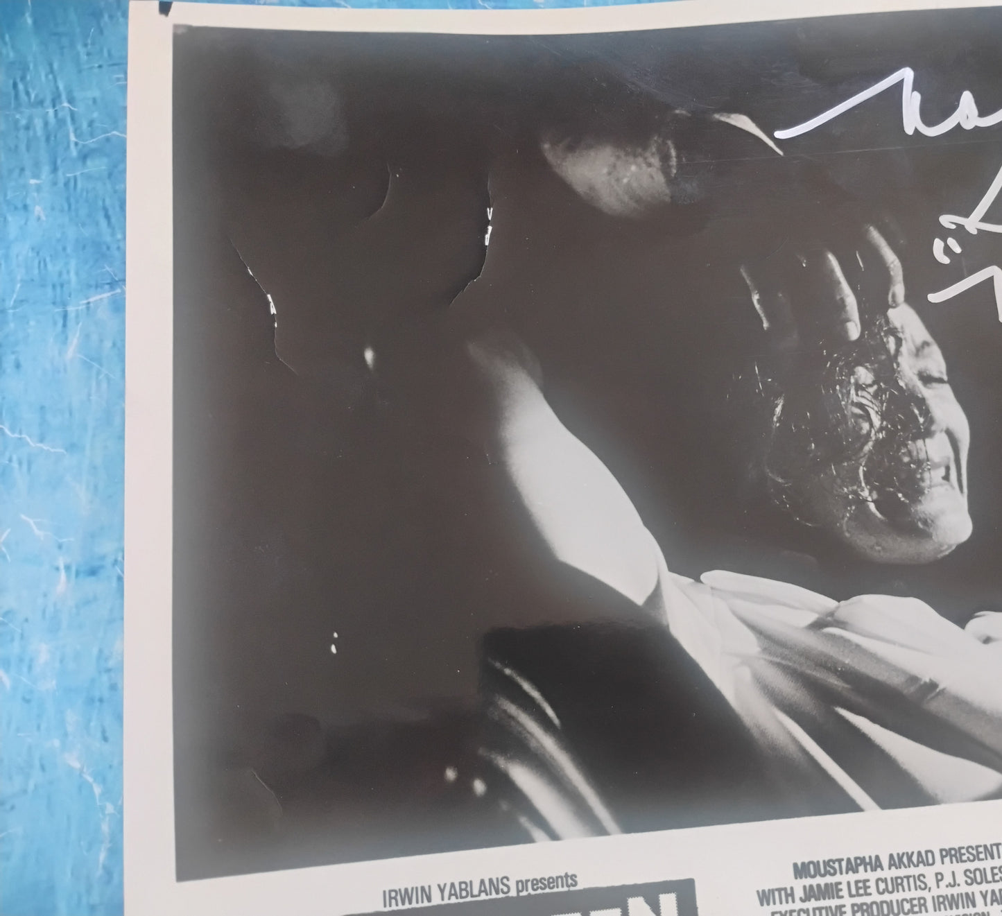 Nancy Stephens Hand Signed Autograph 8x10 Photo JSA COA Halloween