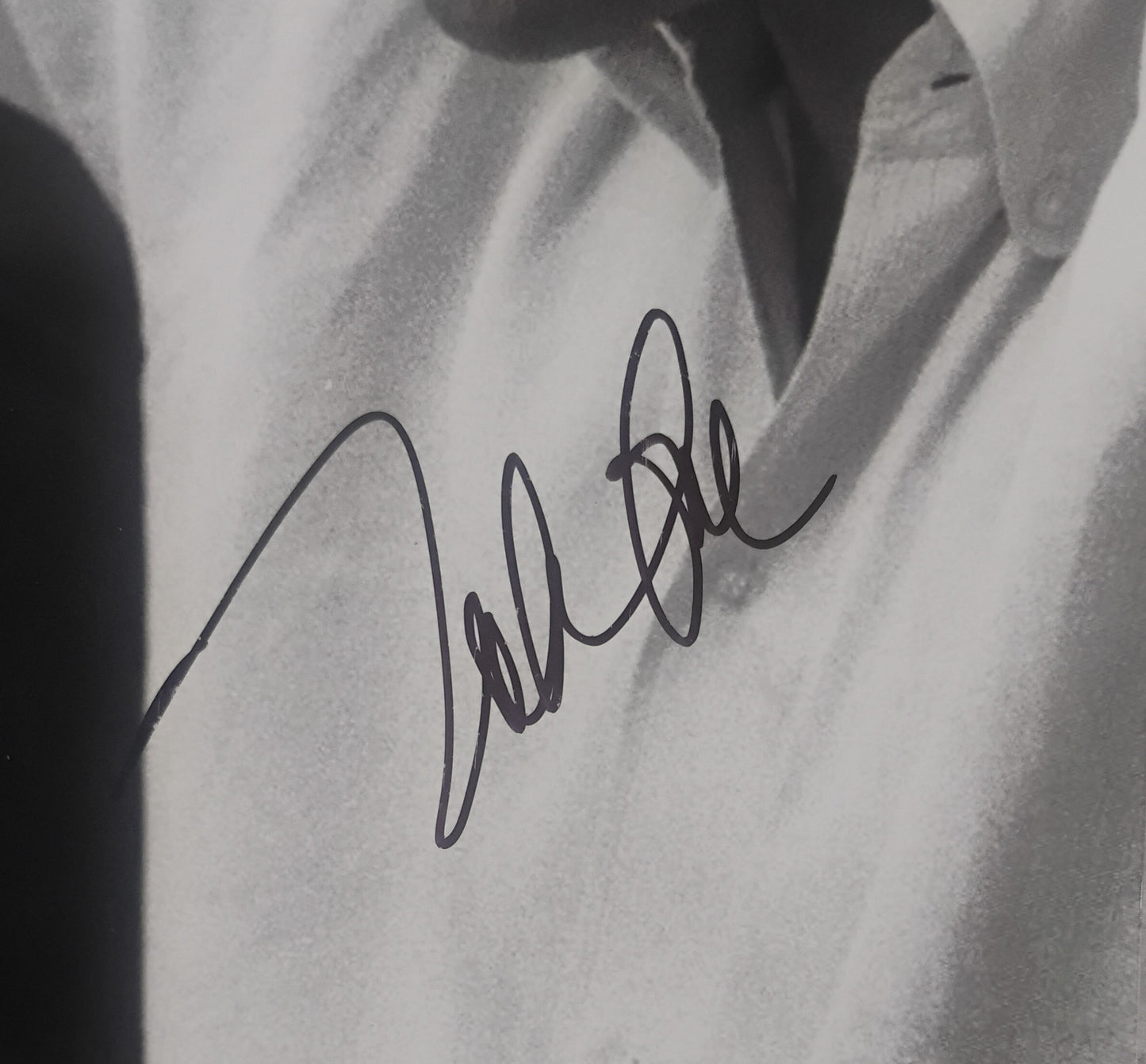 Mike Love Hand Signed Autograph 8x10 Photo JSA COA The Beach Boys