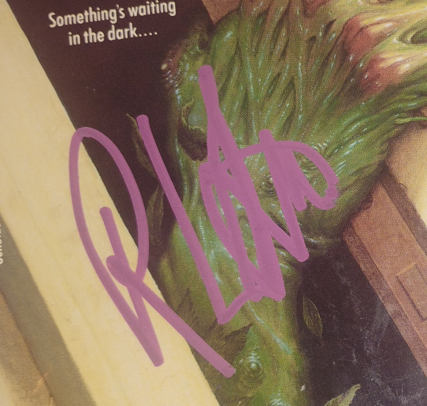 R.L. Stine Hand Signed Autograph Goosebumps Book COA