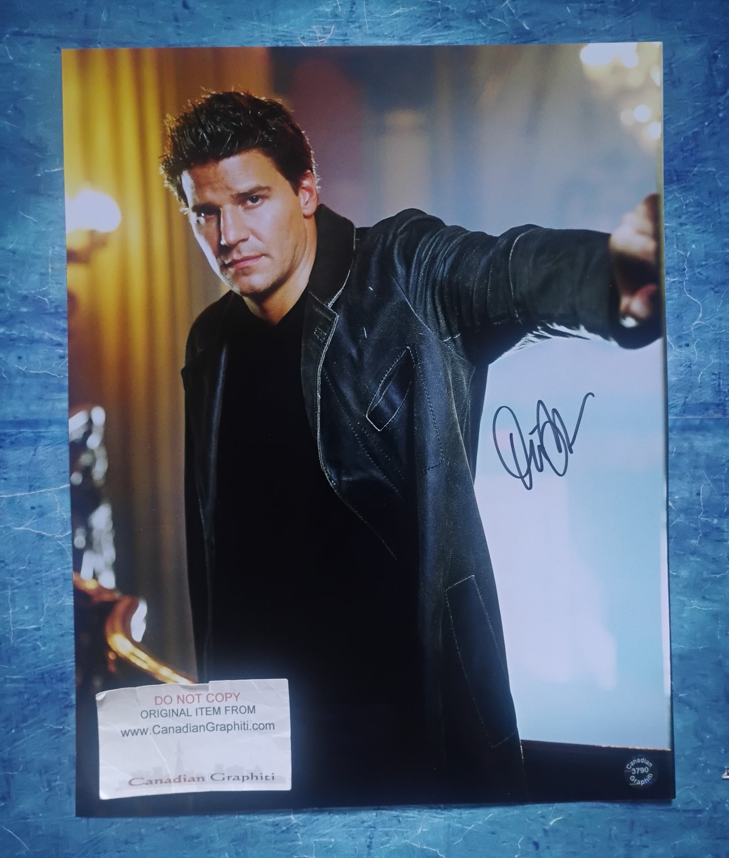 David Boreanaz Hand Signed Autograph 11x14 Photo COA