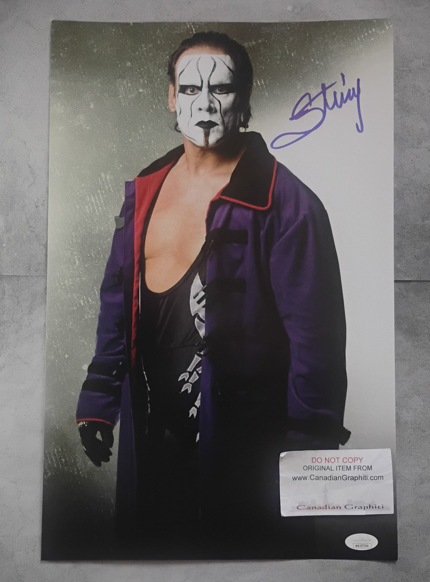 Sting Hand Signed Autograph 11x17 Photo JSA COA