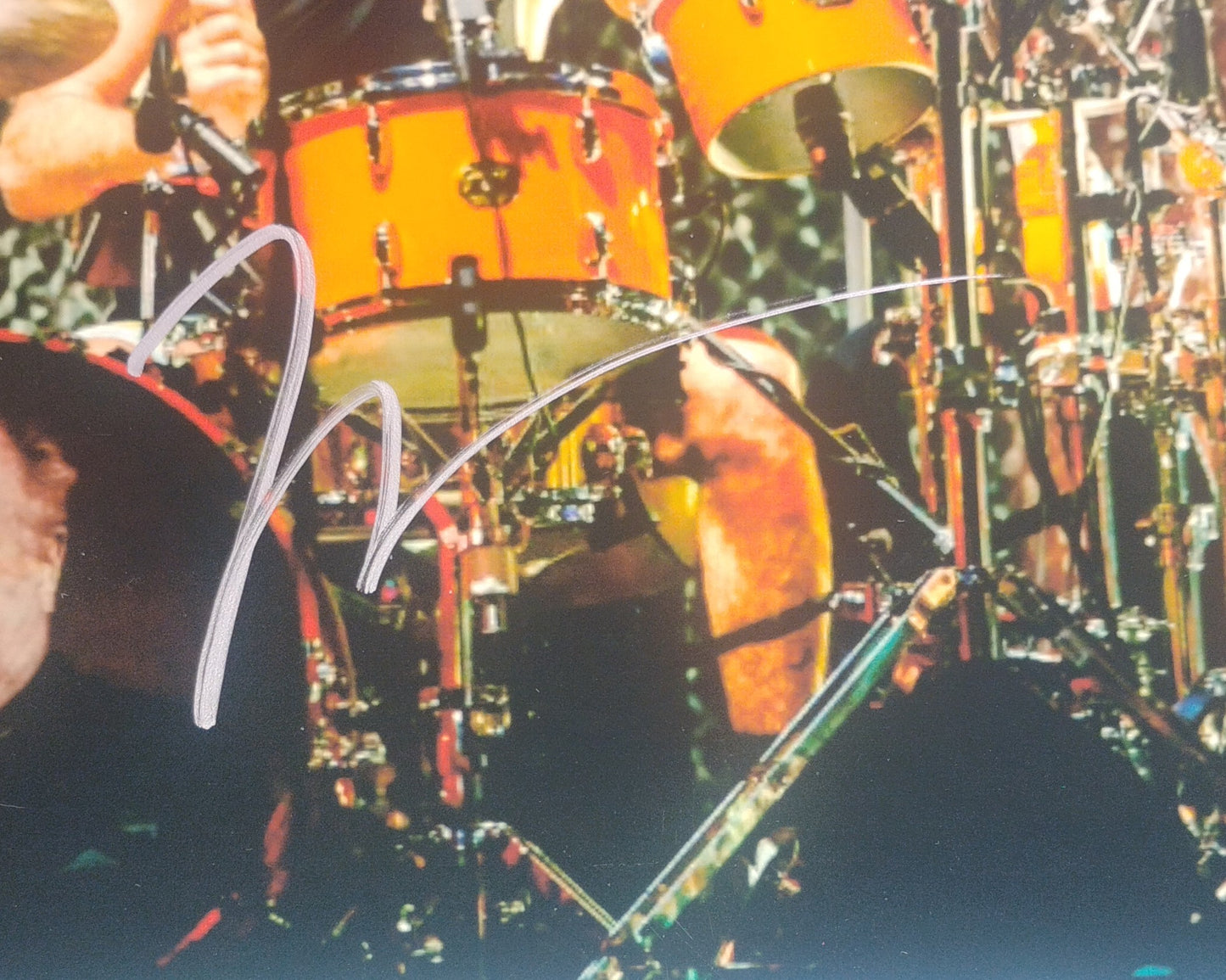 Taylor Hawkins Hand Signed Autograph 8x10 Photo BAS COA Foo Fighters