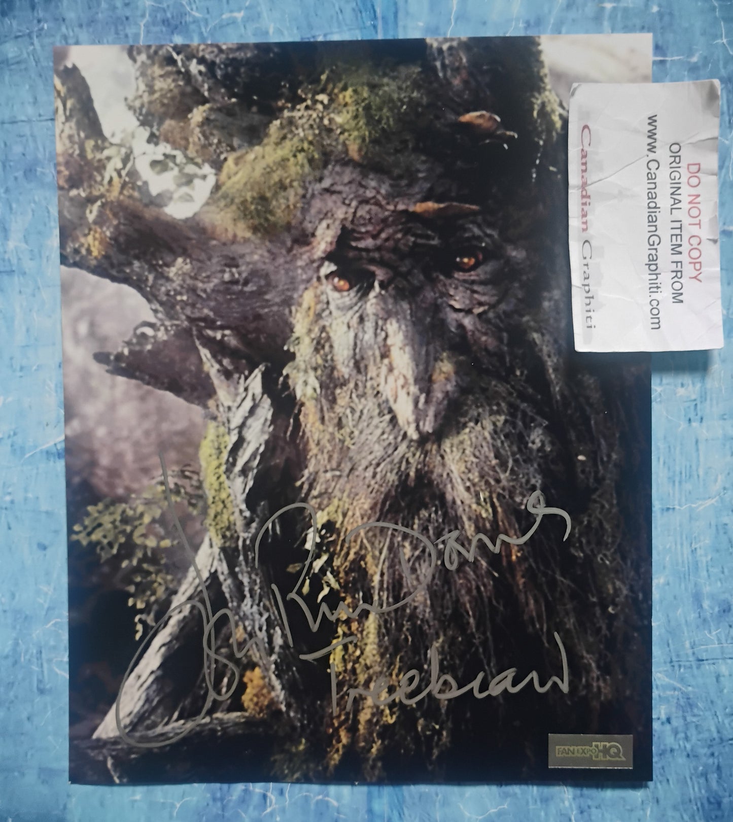 John Rhys-Davies Hand Signed Autograph 8x10 Photo COA Lord Of The Rings