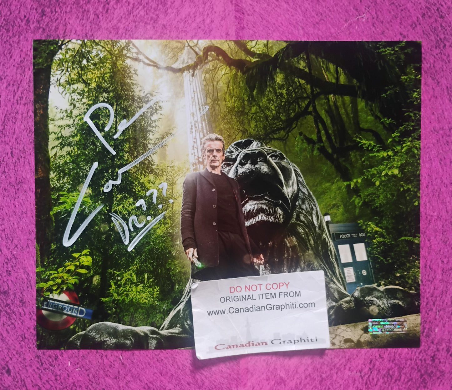 Peter Capaldi Hand Signed Autograph 8x10 Photo COA Doctor Who