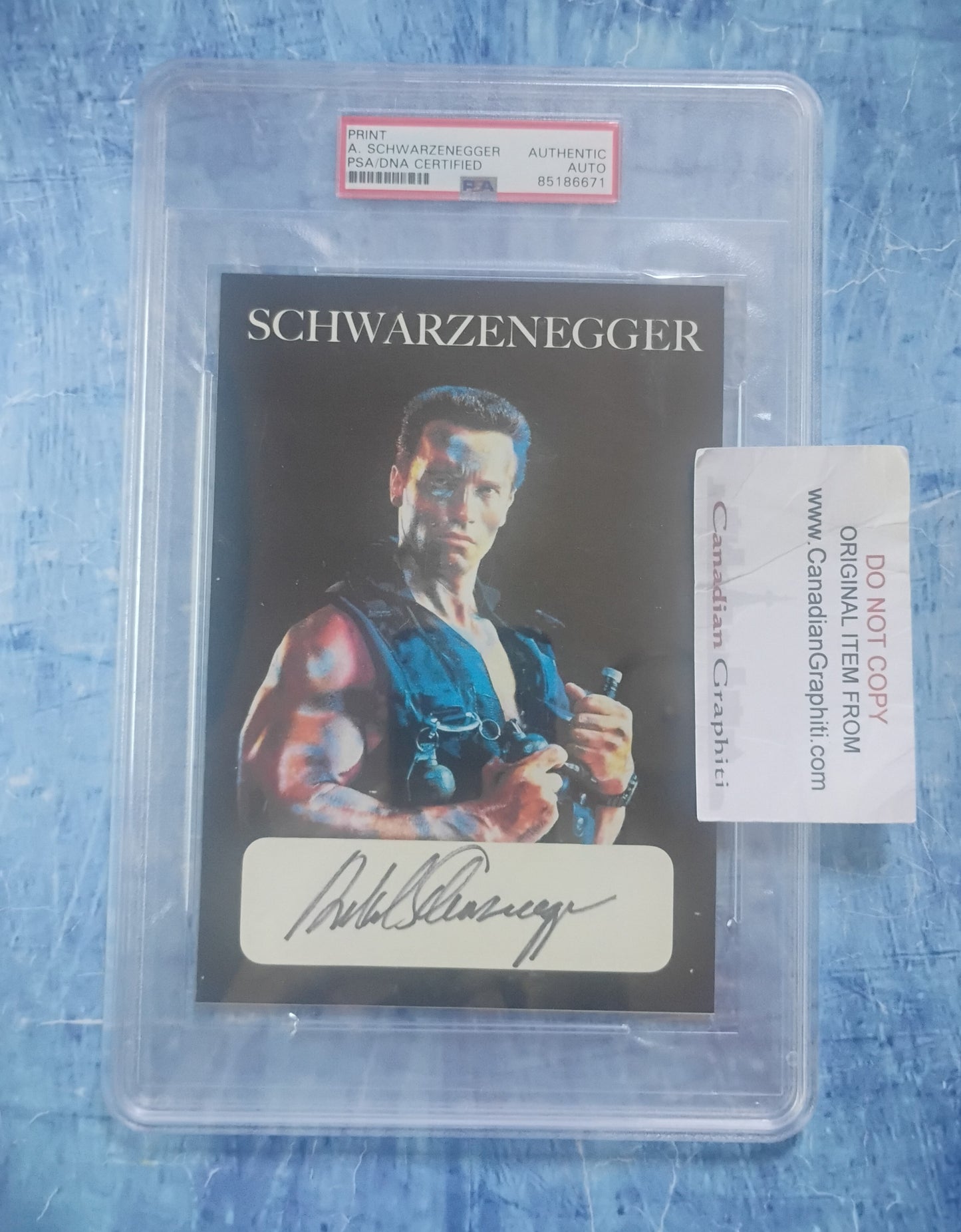 Arnold Schwarzenegger Hand Signed Autograph Photo Slabbed PSA COA Commando
