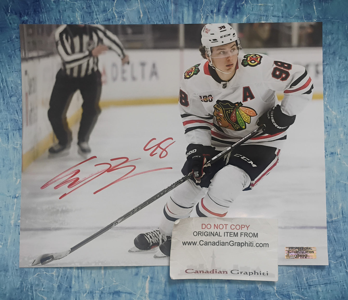 Connor Bedard Hand Signed Autograph 8x10 Photo COA Chicago Blackhawks