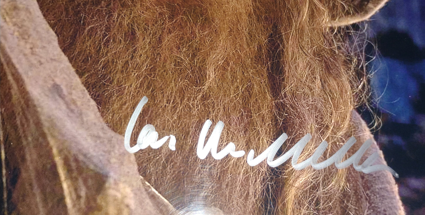 Ian McKellen Hand Signed Autograph Photo COA Lord Of The Rings