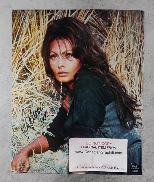 Sophia Loren Hand Signed Autograph 8x10 Photo PSA COA