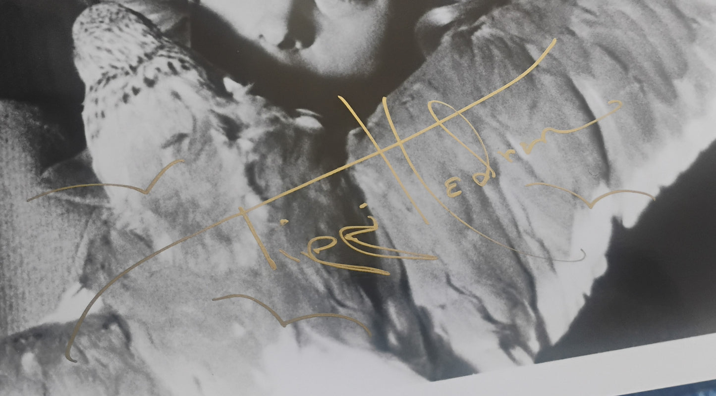 Tippi Hedren Hand Signed Autograph 8x10 Photo JSA COA The Birds