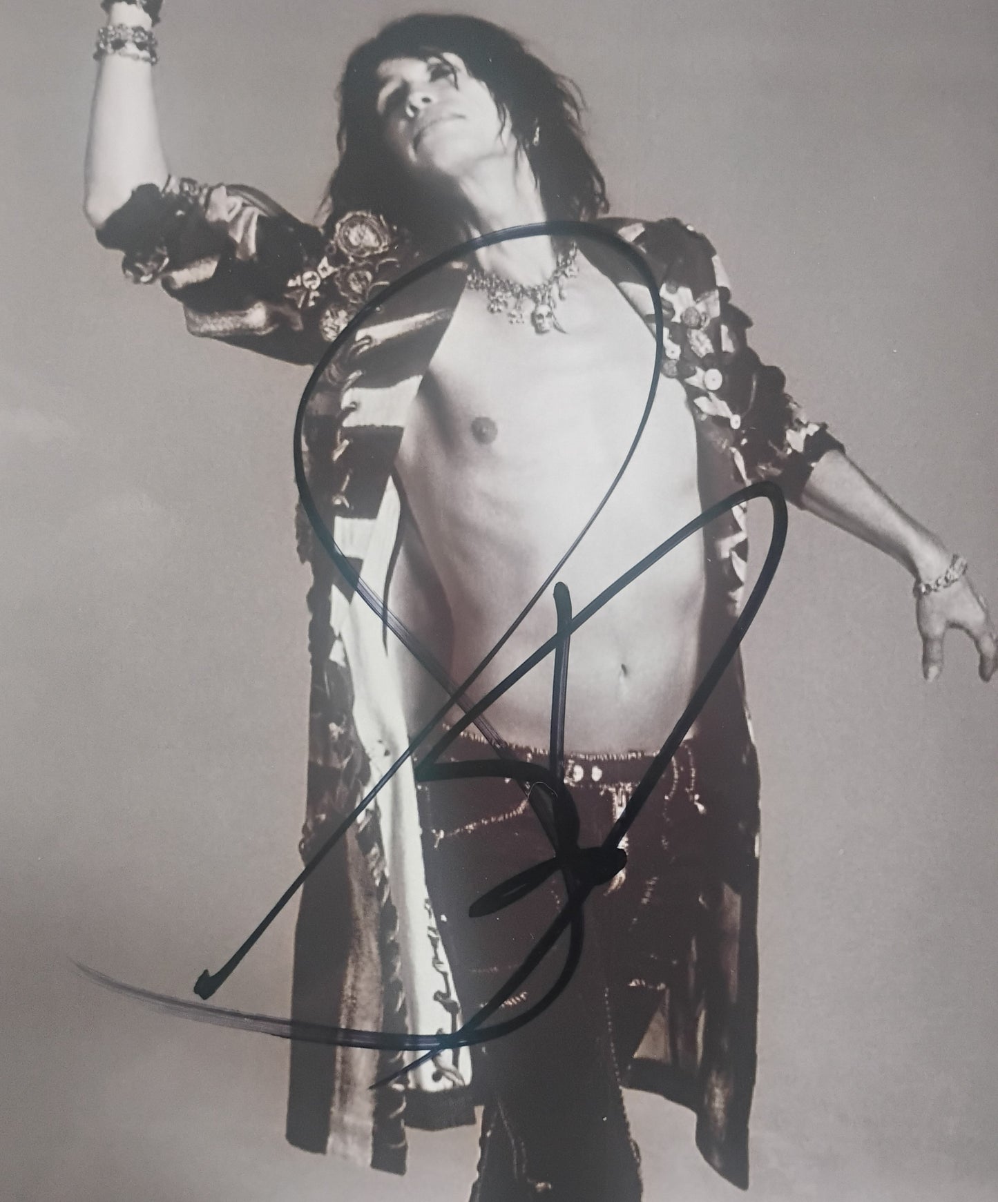 Steven Tyler Hand Signed Autograph Photo BAS COA Aerosmith