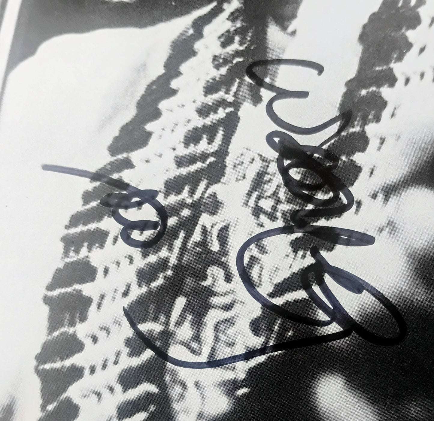 Willie Nelson Hand Signed Autograph 8x10 Pinup Photo PSA COA