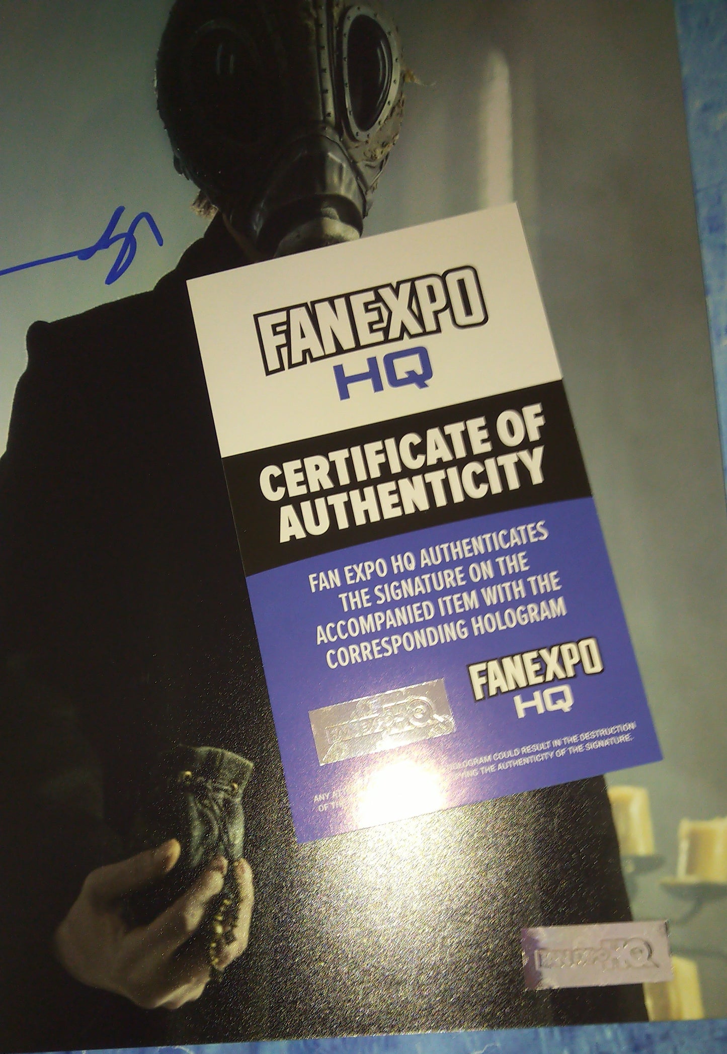 Tom Sturridge Hand Signed Autograph 8x10 Photo COA The Sandman