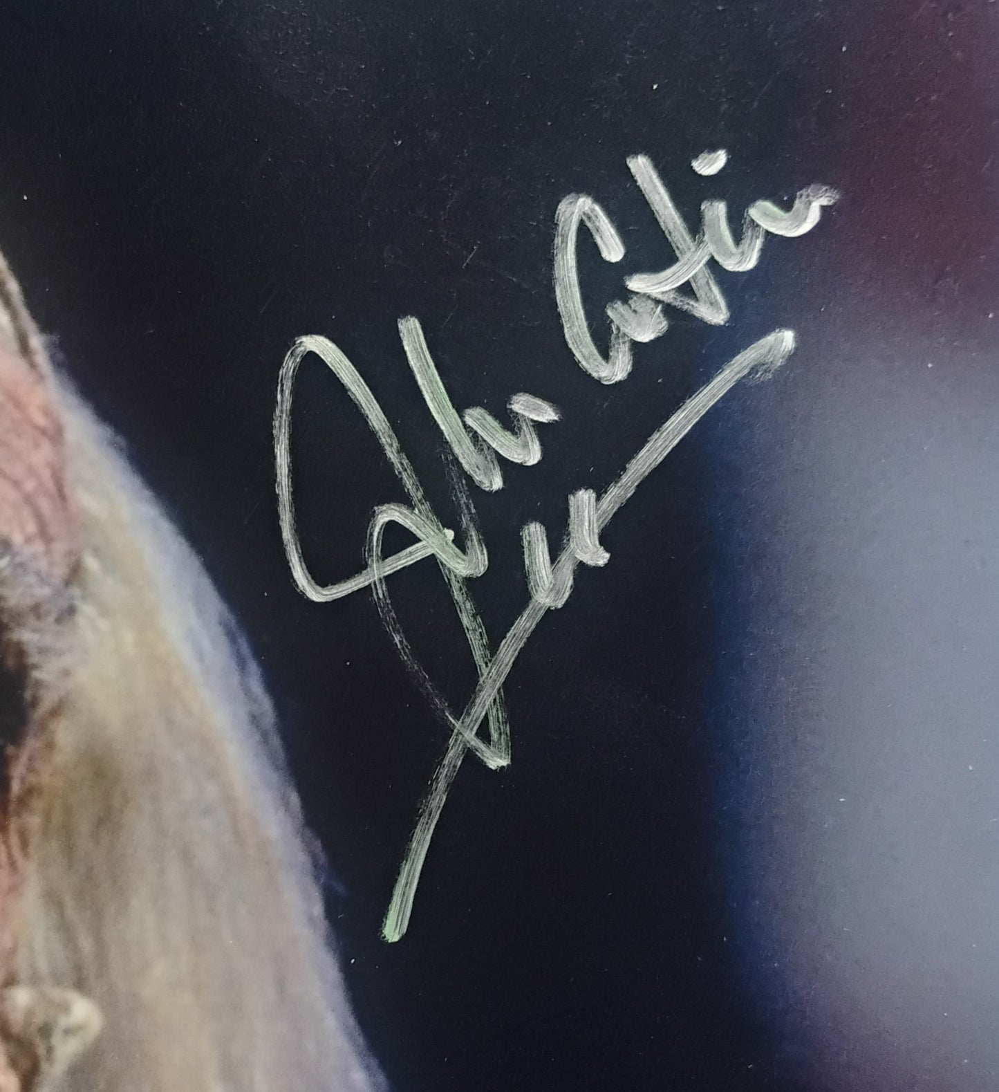 John Astin Hand Signed Autograph 8x10 Photo COA The Frighteners