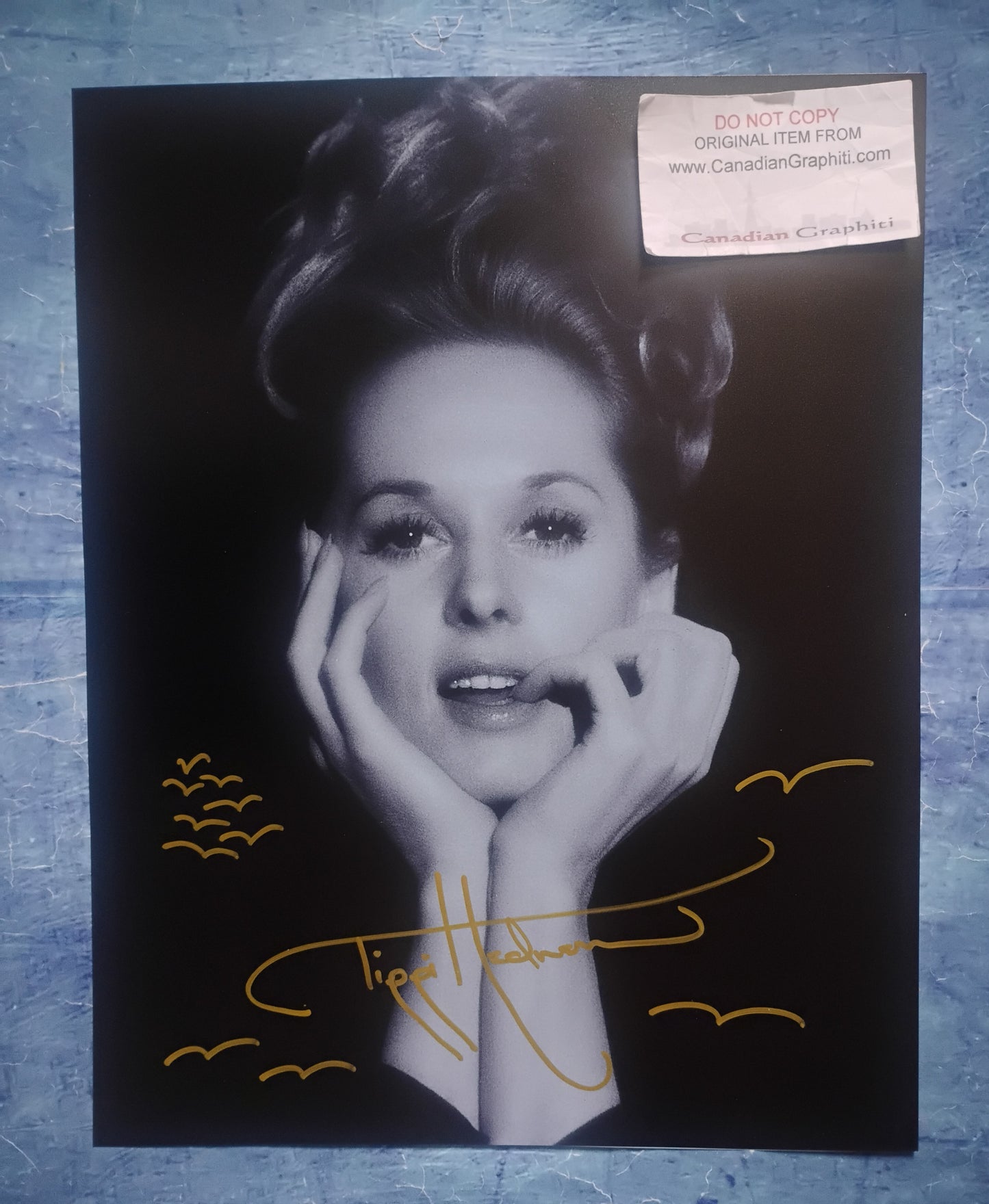 Tippi Hedren Hand Signed Autograph 11x14 Photo COA The Birds